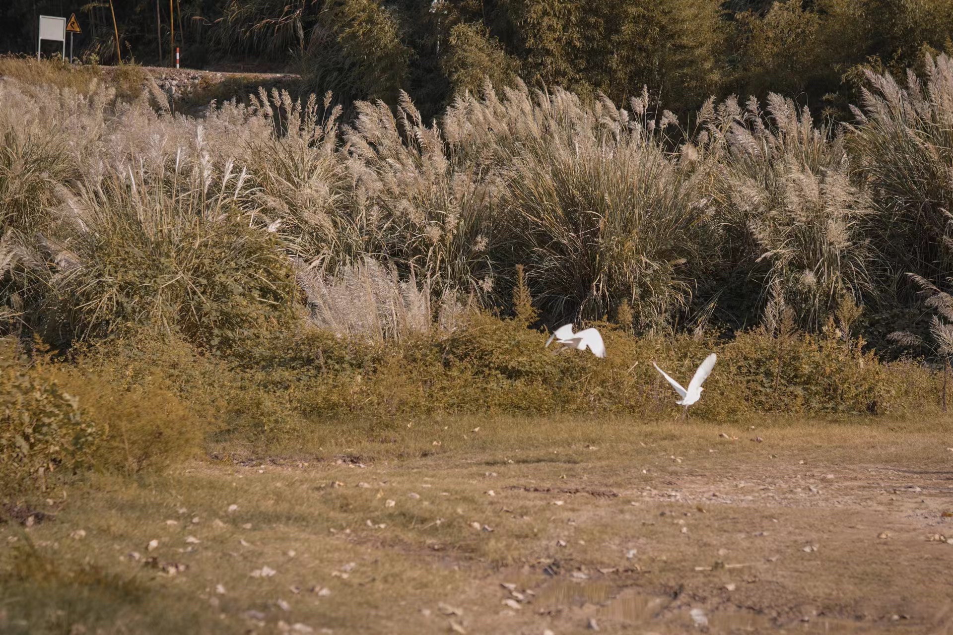 场地封面-翼马飞行