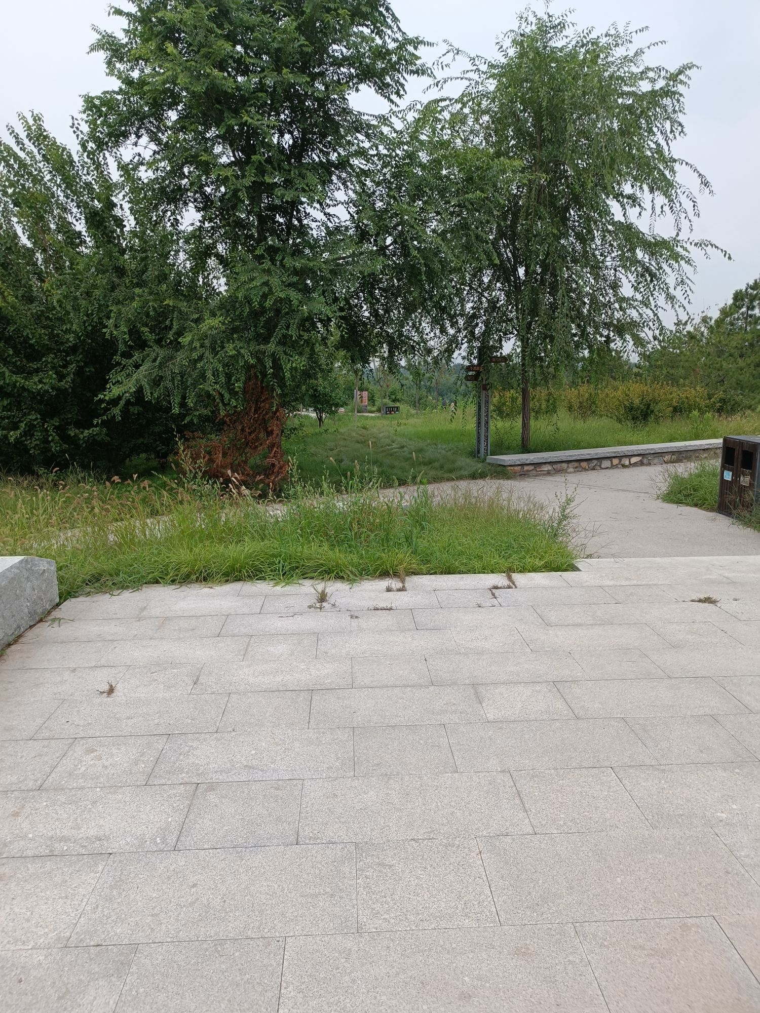 南苑森林湿地公园鹭影台旅行图片 3