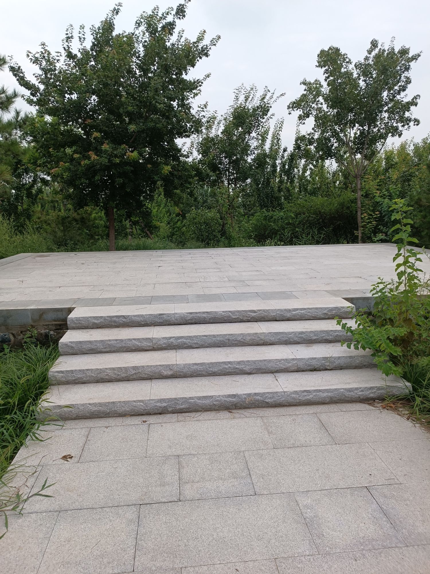 南苑森林湿地公园鹭影台旅行图片 2
