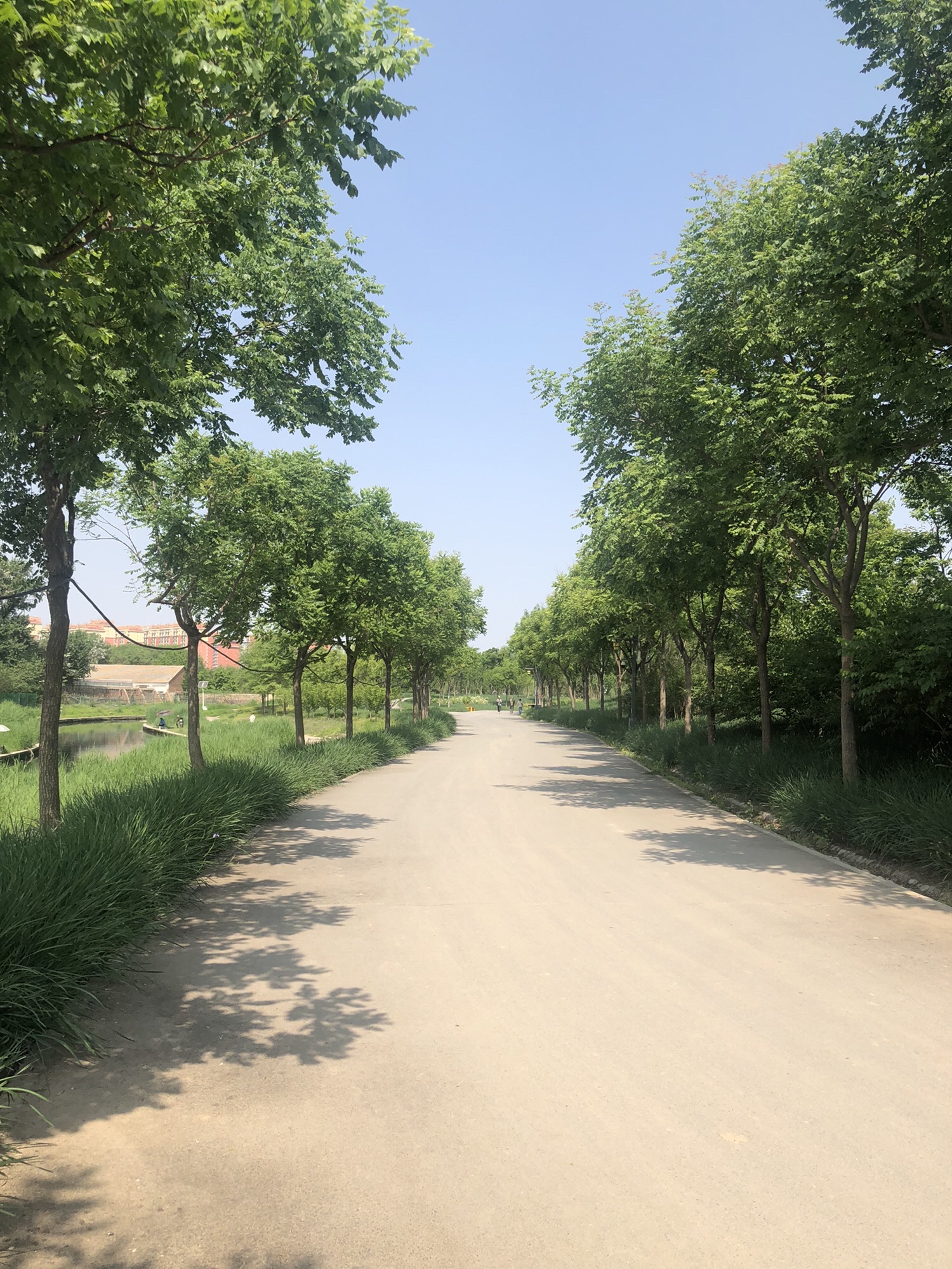 南苑森林湿地公园鹭影台旅行图片 3