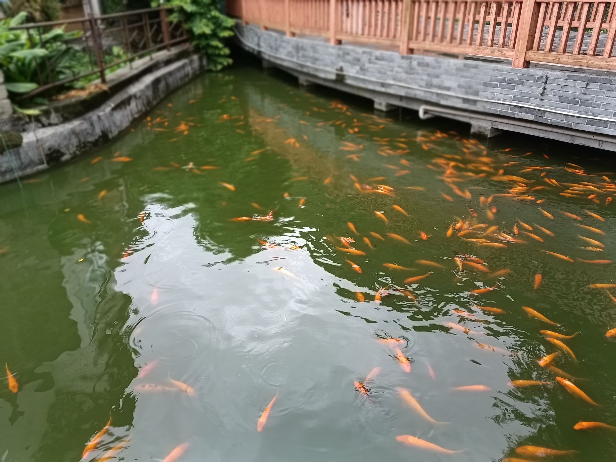 六峰山文化公园旅行图片 2