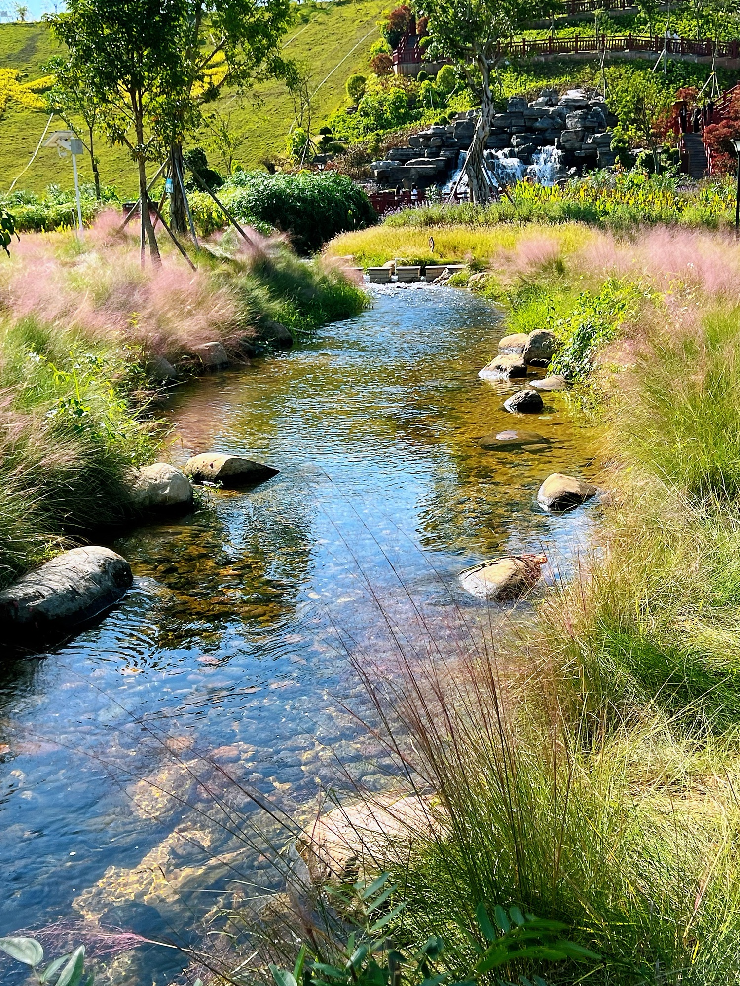 水塘江乐水公园旅行图片 2