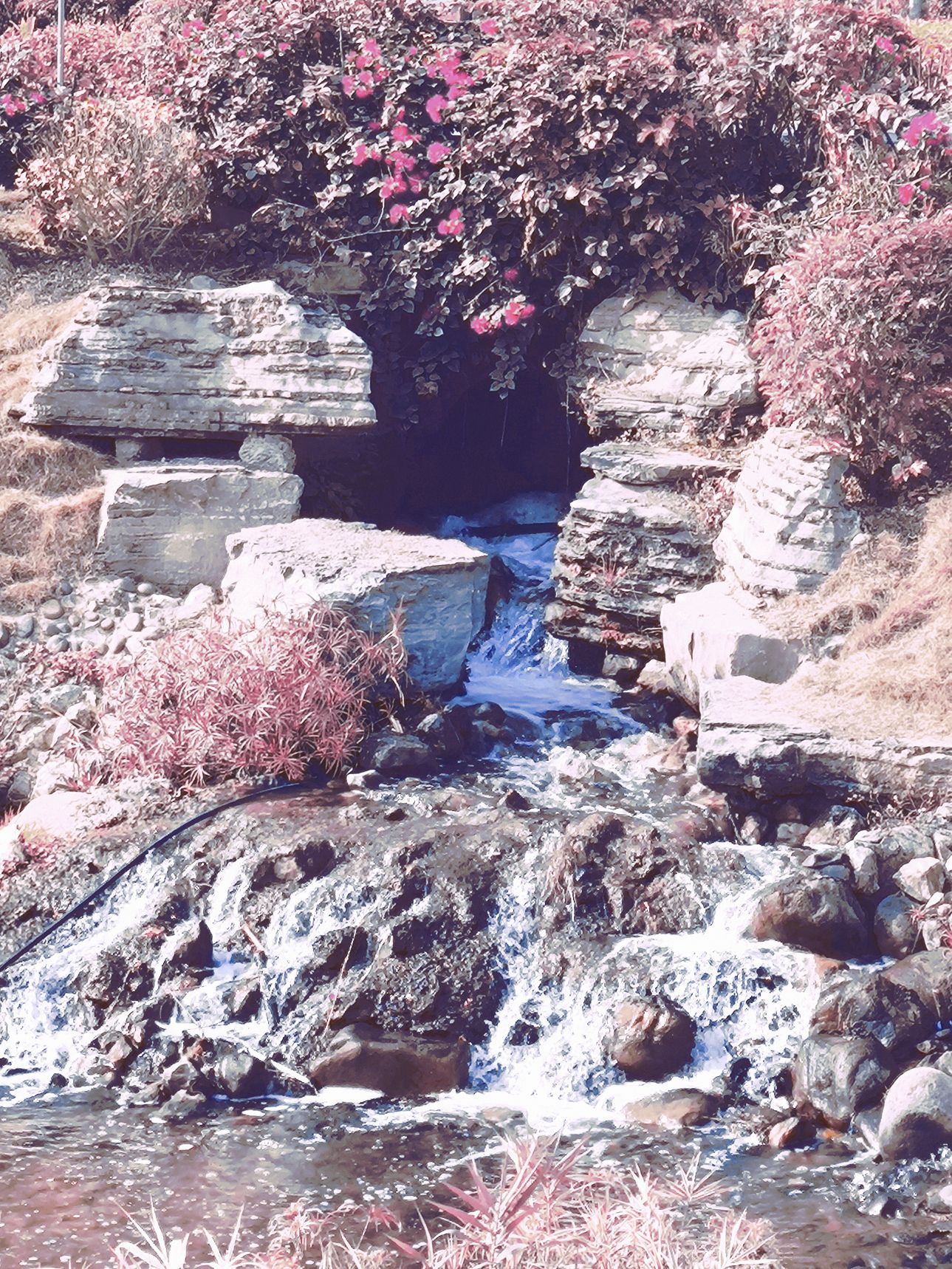 水塘江乐水公园旅行图片 1