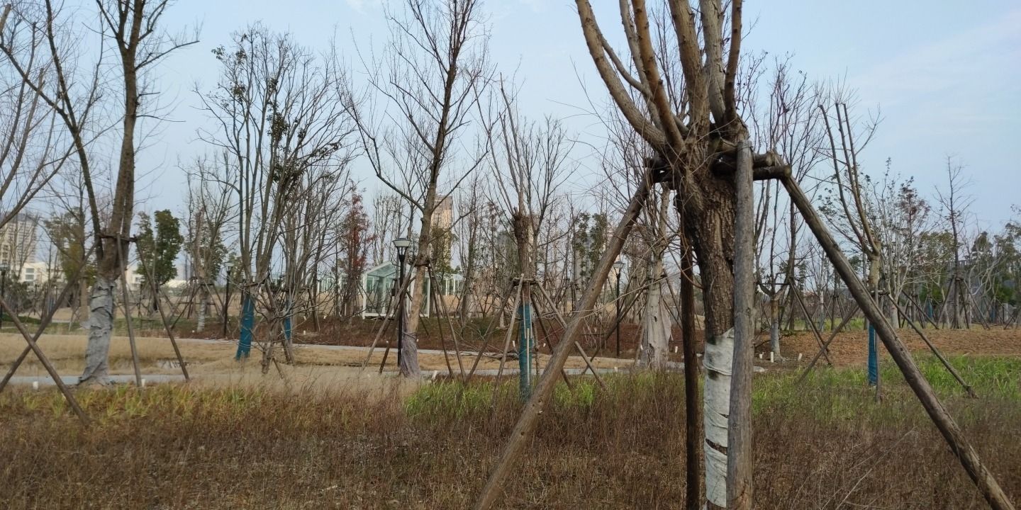 康养公园旅行图片 3