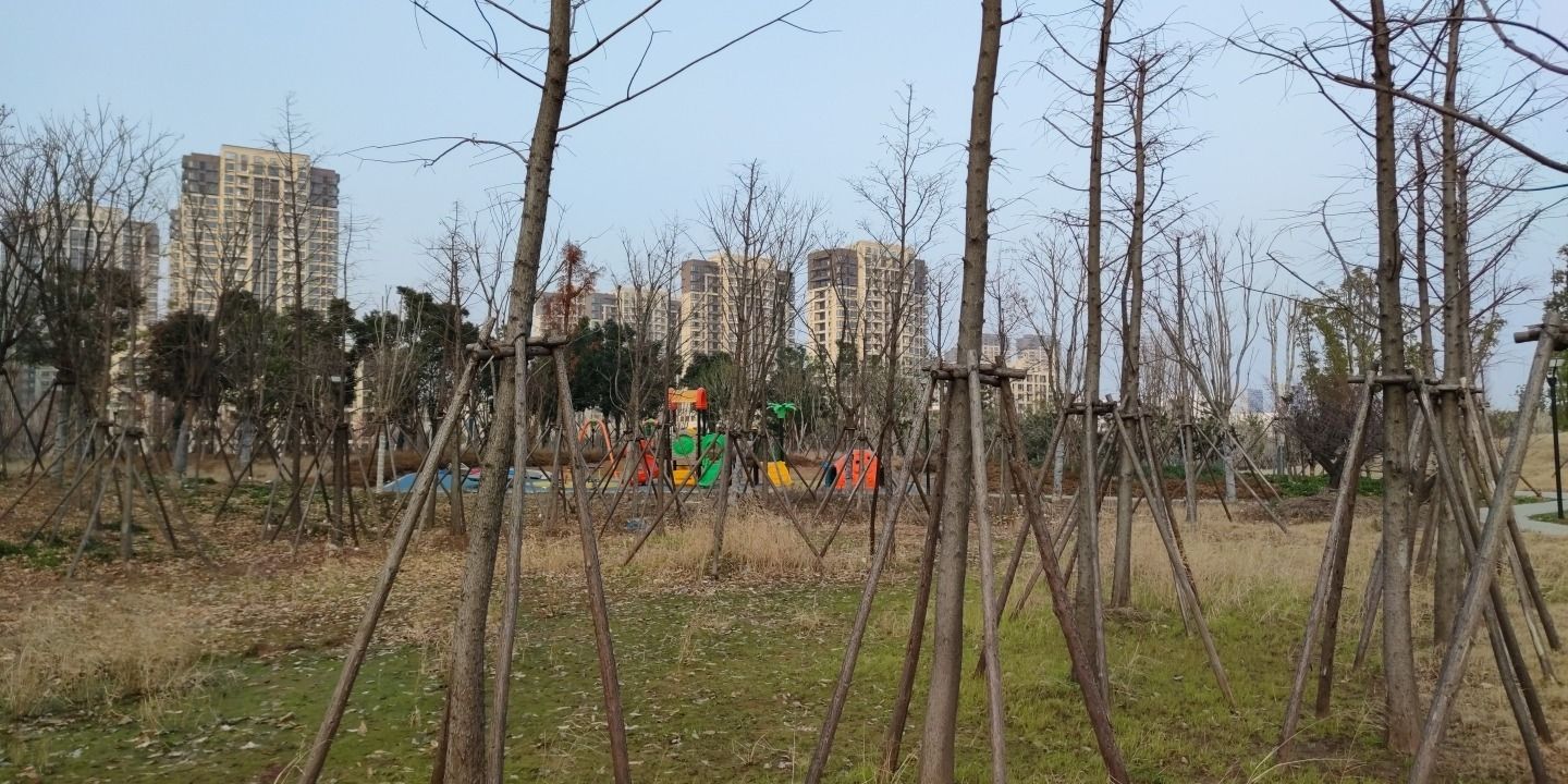 康养公园旅行图片 1