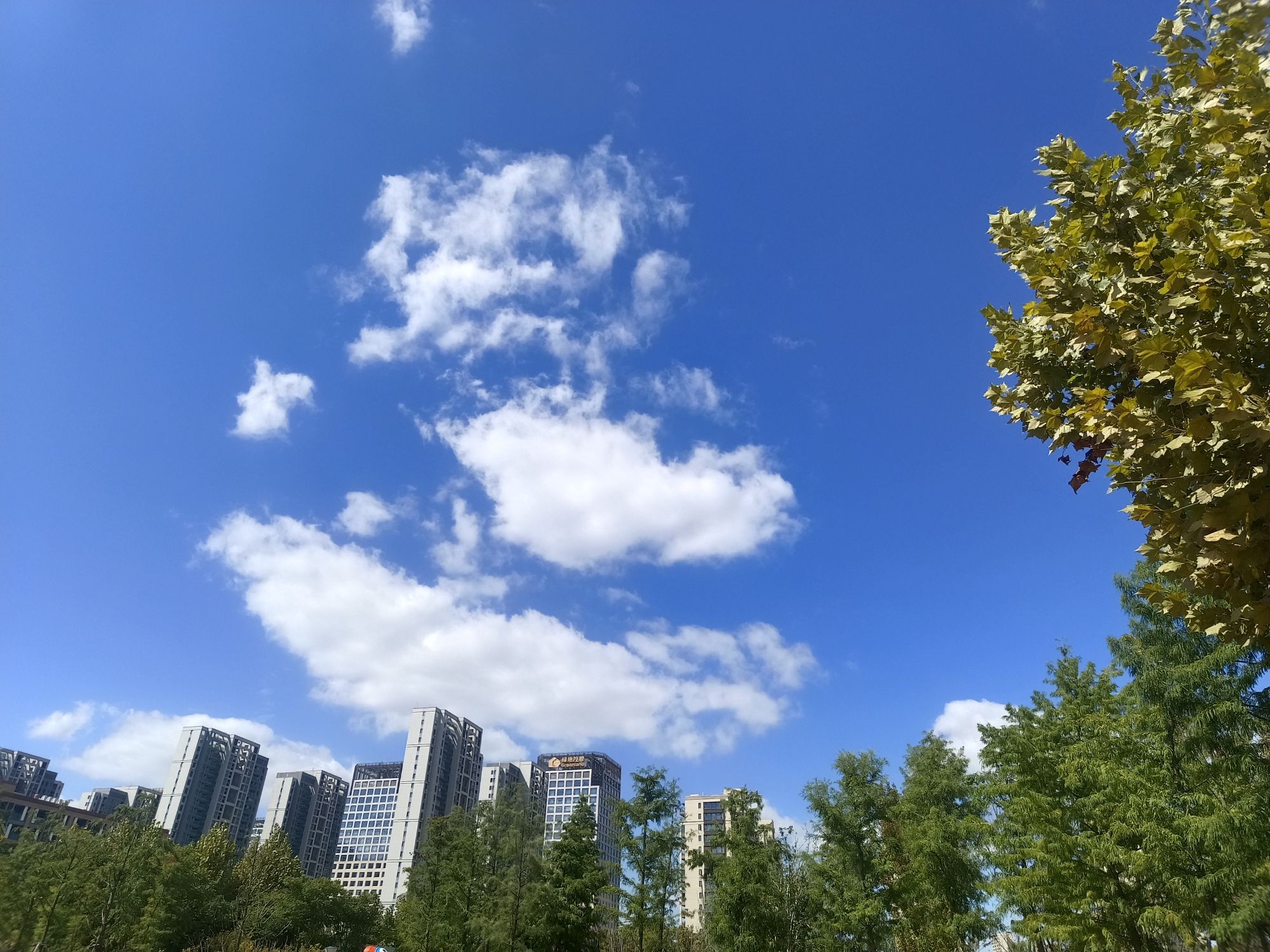 康养公园旅行图片 2
