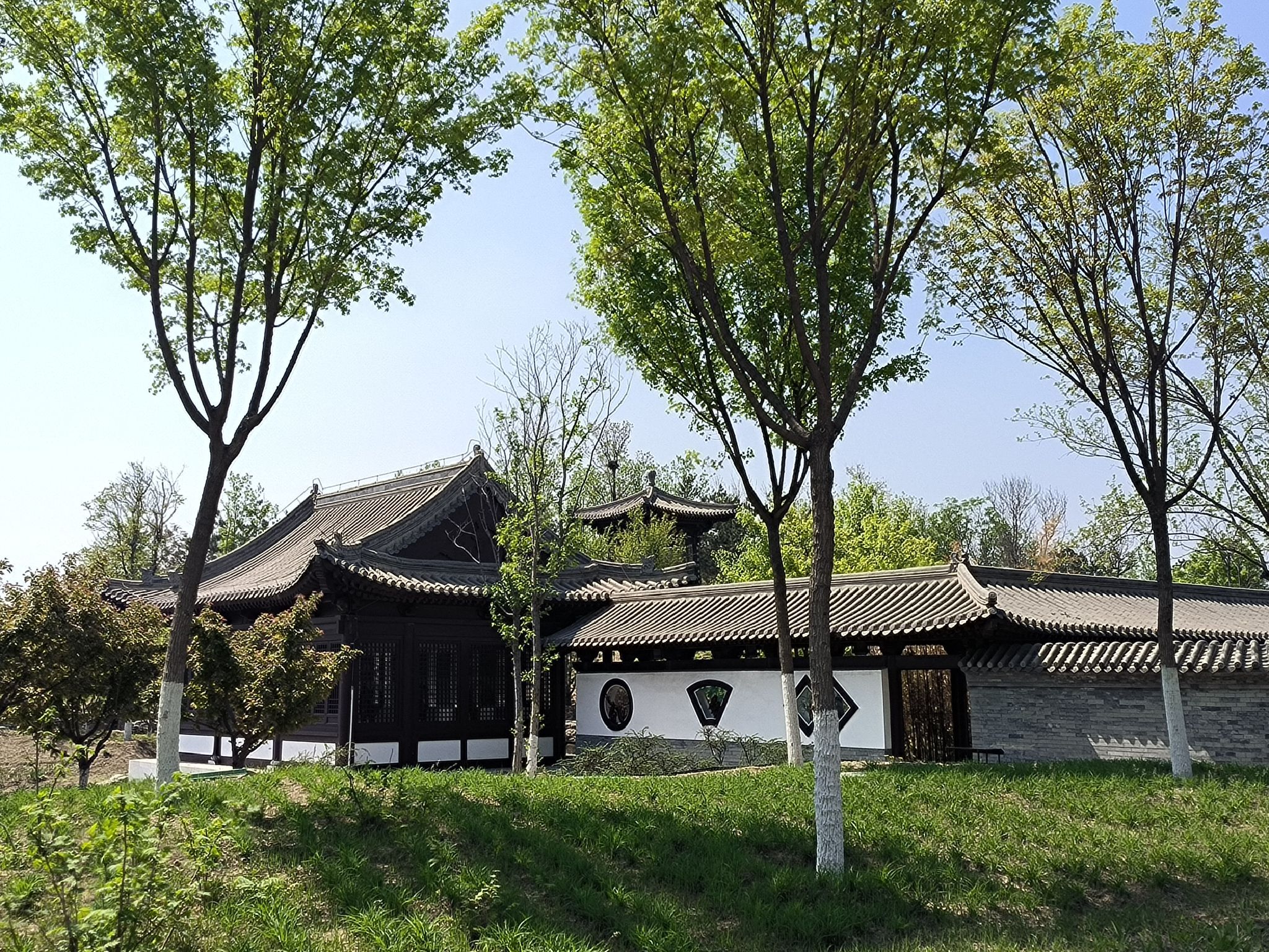 花海北区东门广场旅行图片 3