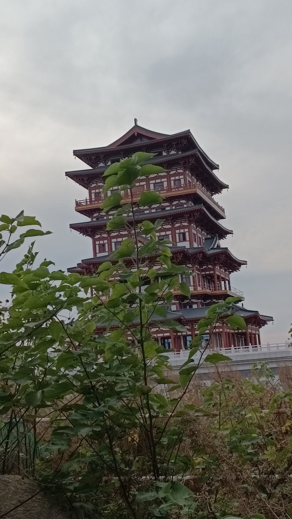 新时代文明实践广场旅行图片 3