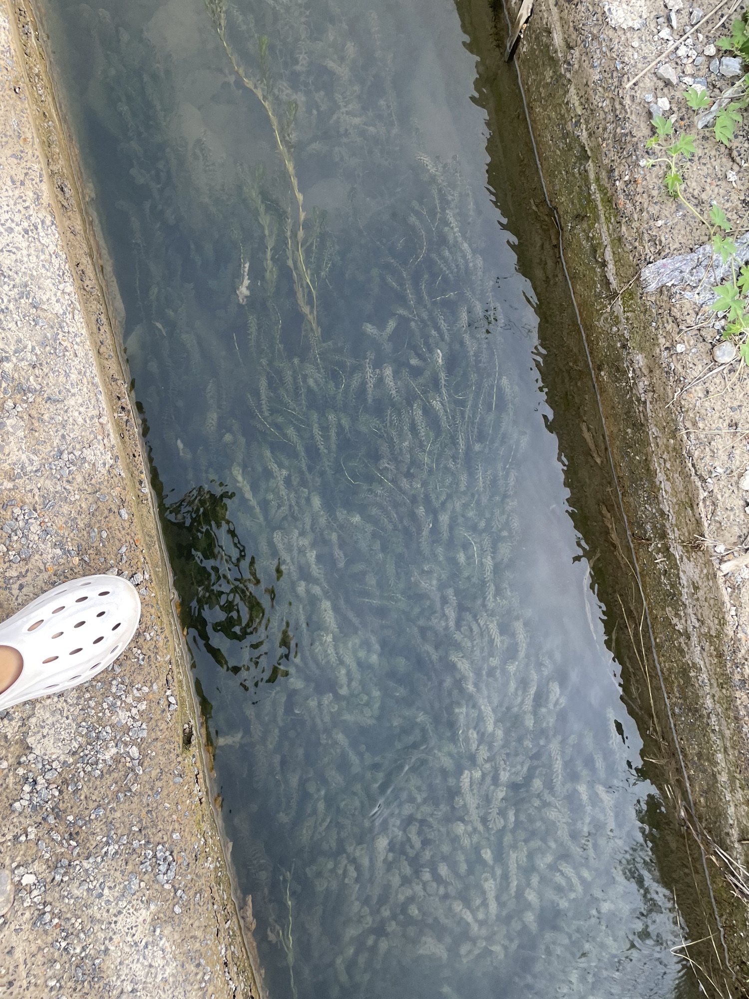 青年洞旅行图片 2