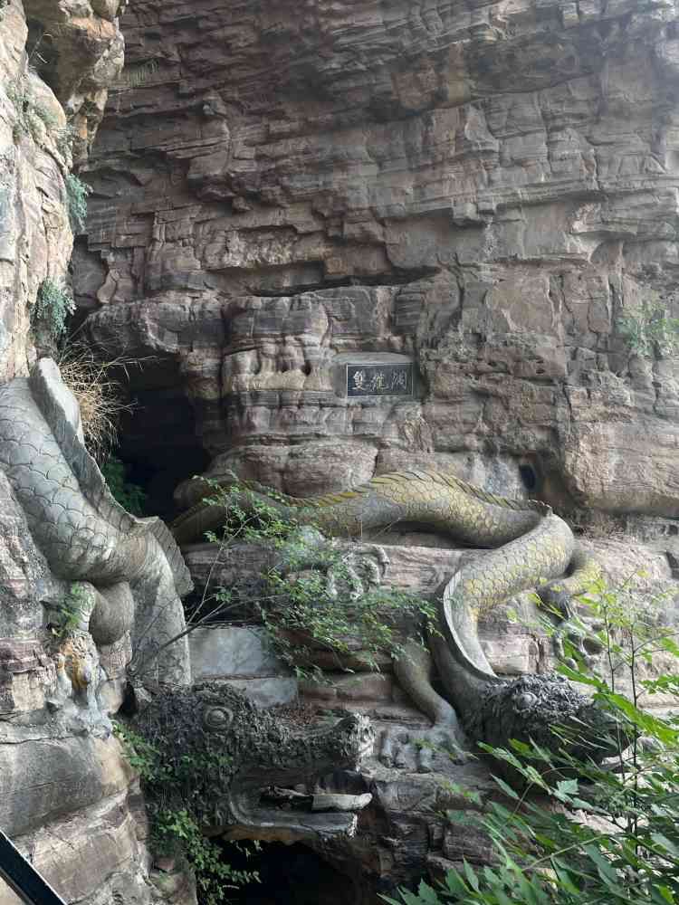 青年洞旅行图片 1