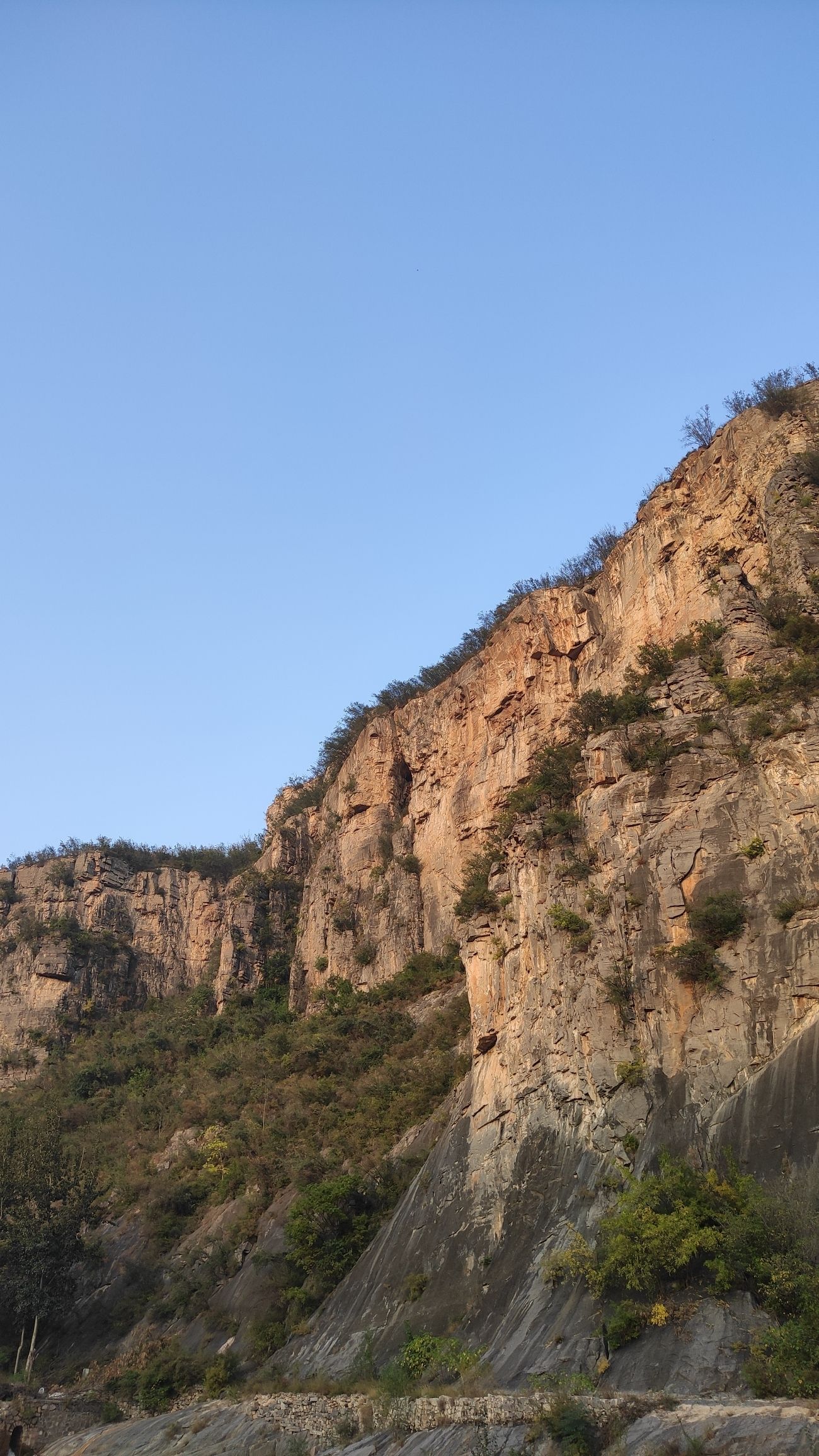 青年洞旅行图片 1
