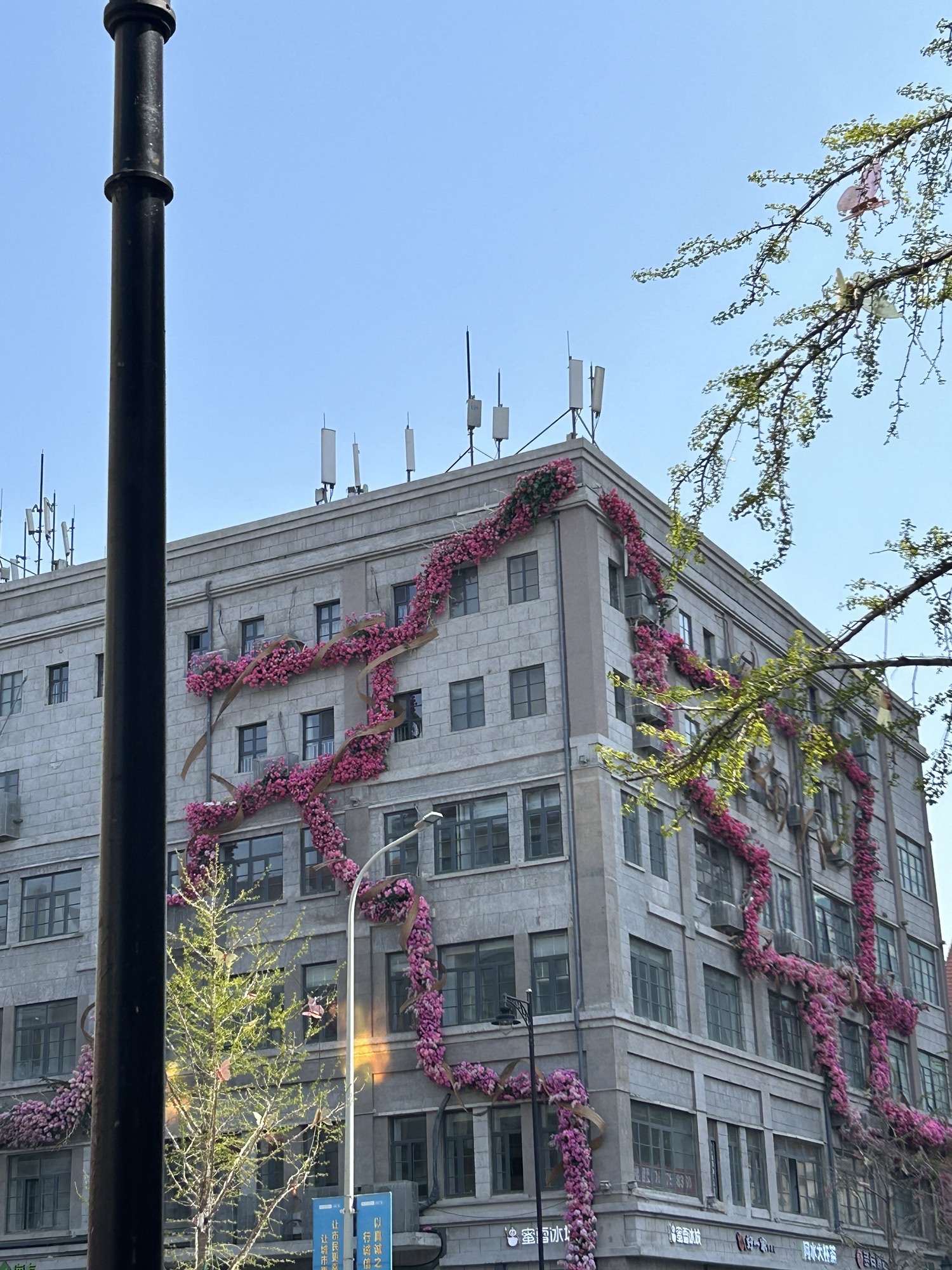 青岛中山路城市记忆馆旅行图片 2