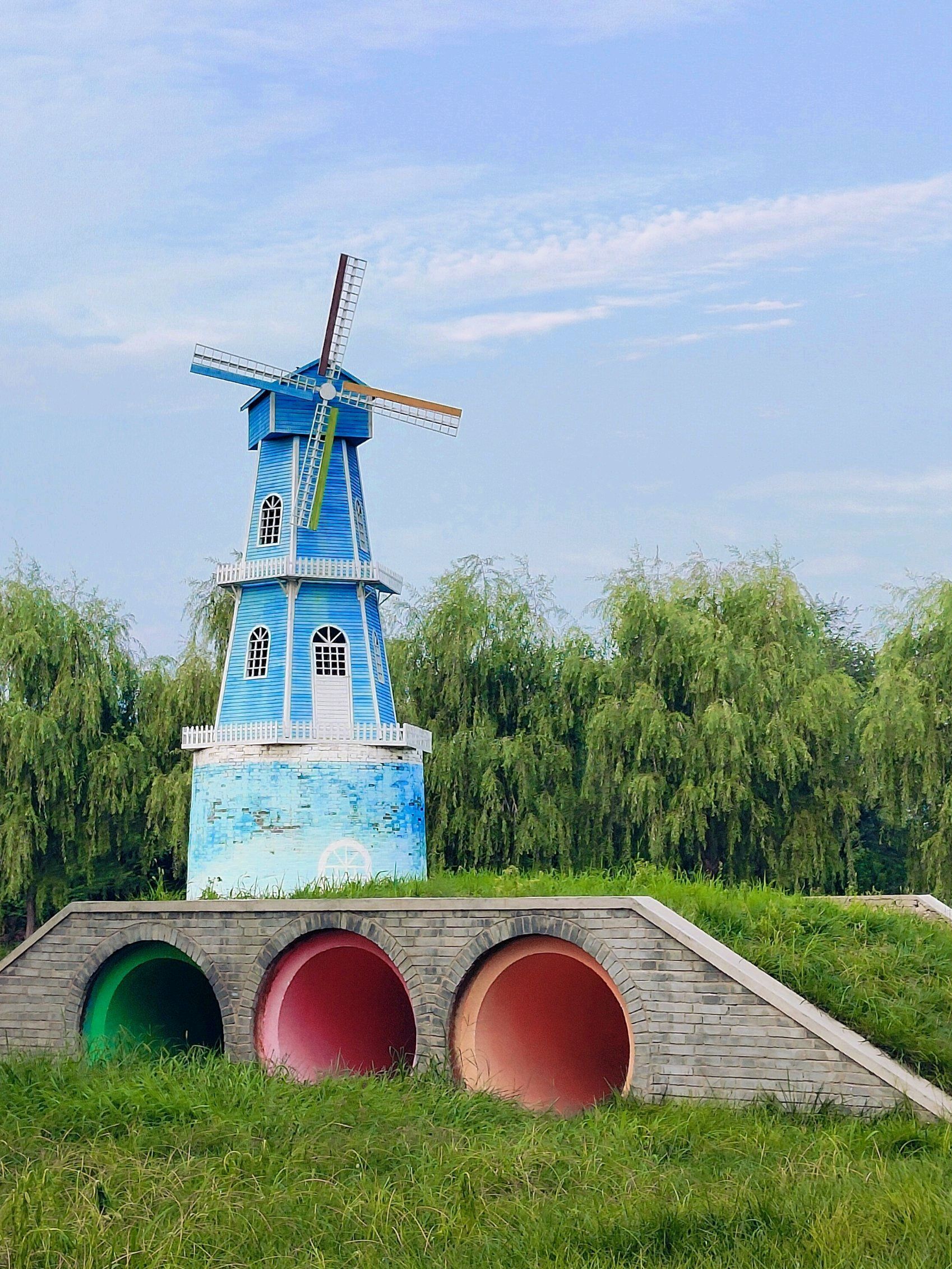 虢都花海旅行图片 1
