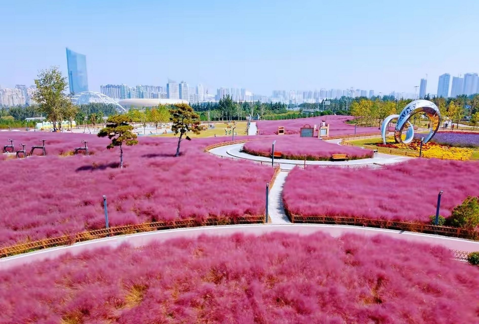 虢都花海旅行图片 1