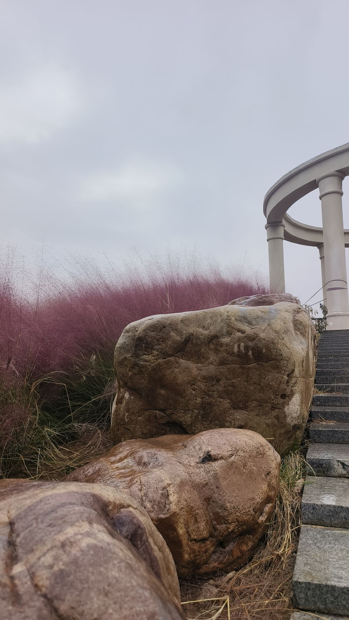 虢都花海旅行图片 3