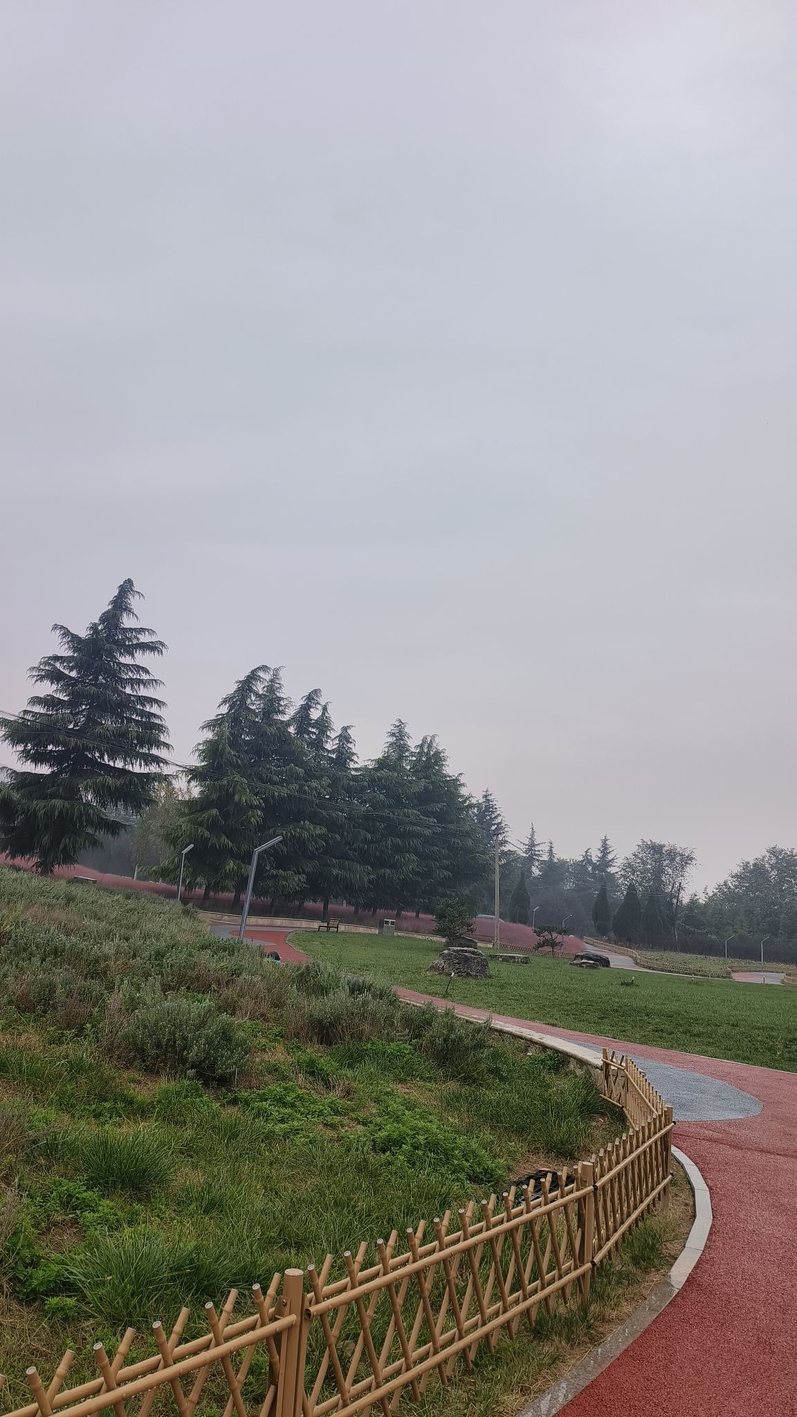 虢都花海旅行图片 1