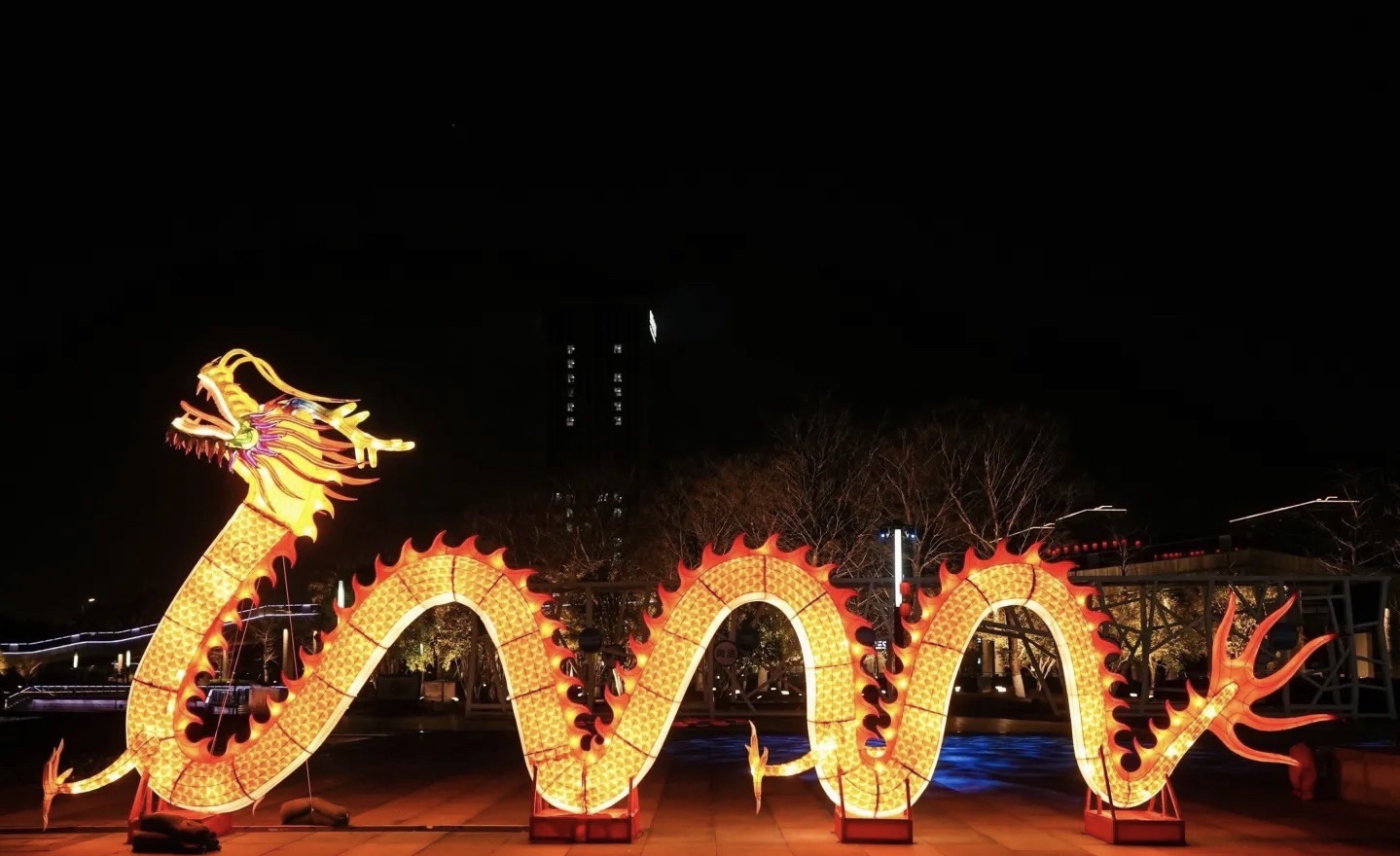明月湖沙滩旅行图片 1