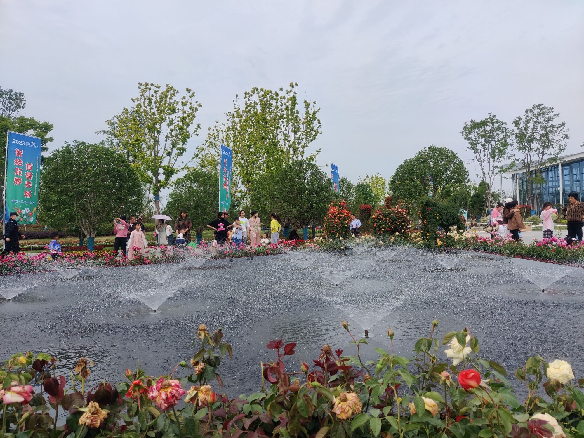 界首花博园旅行图片 3