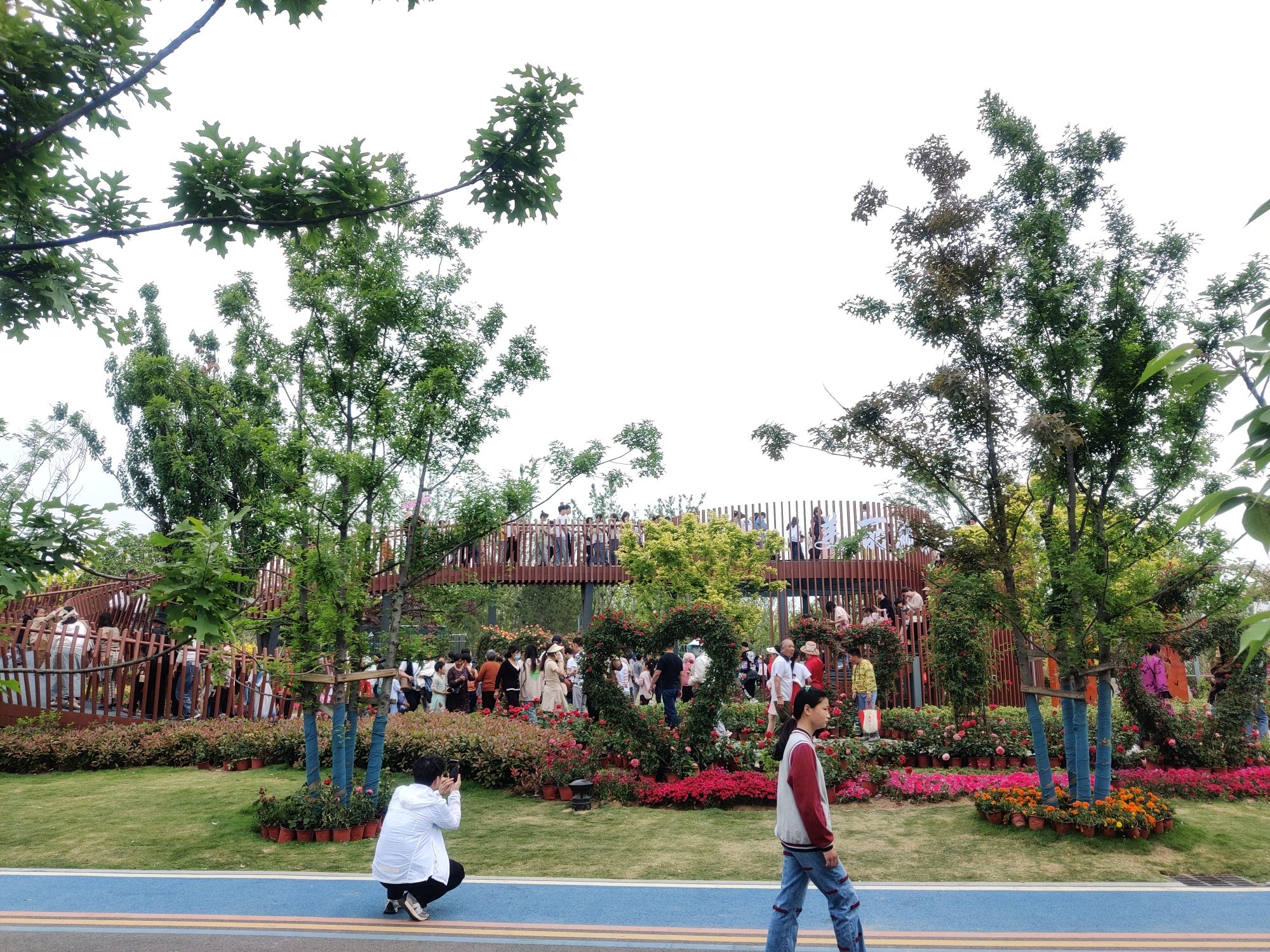 界首花博园旅行图片 2