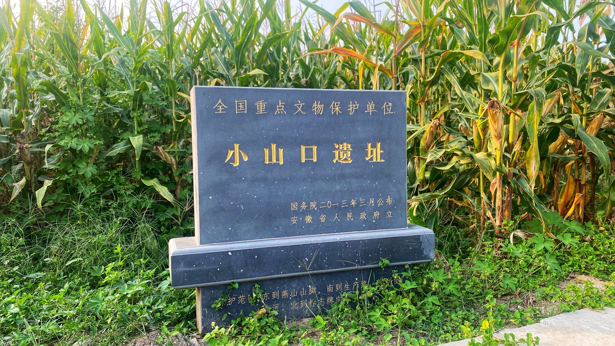 小山口遗址旅行图片 1