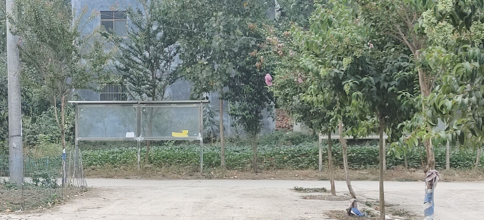 老年生活广场旅行图片 3