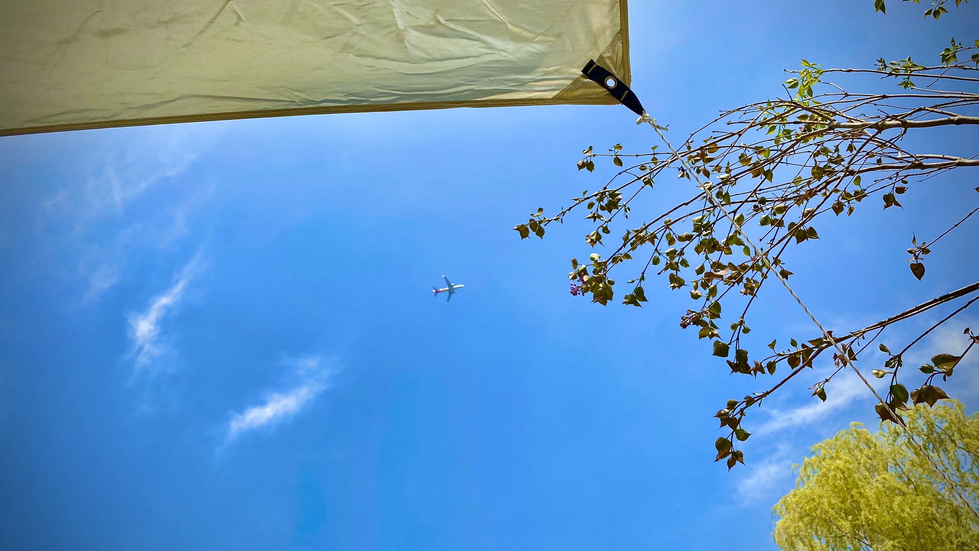 东郊森林公园旅行图片 2