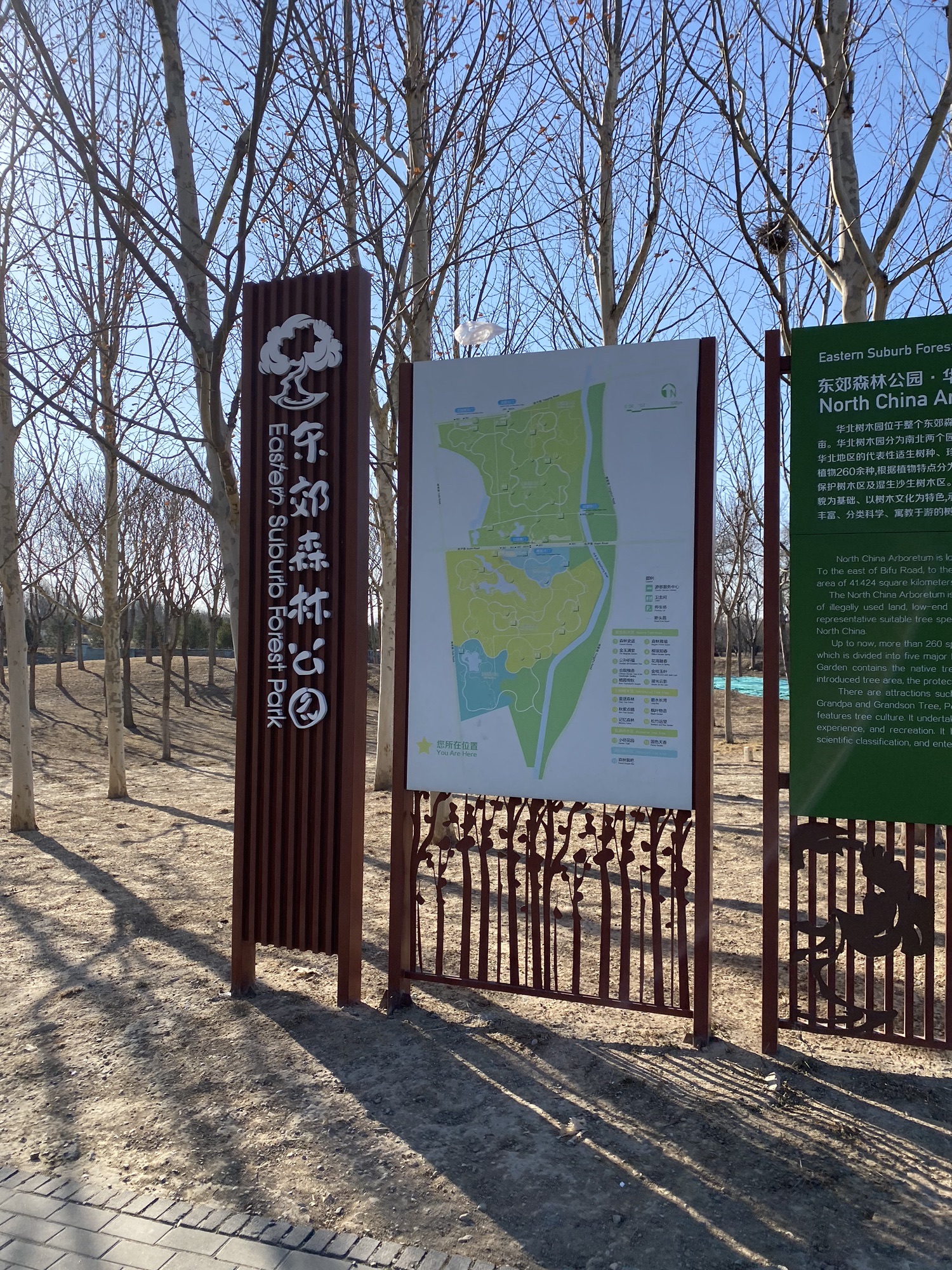 东郊森林公园旅行图片 2