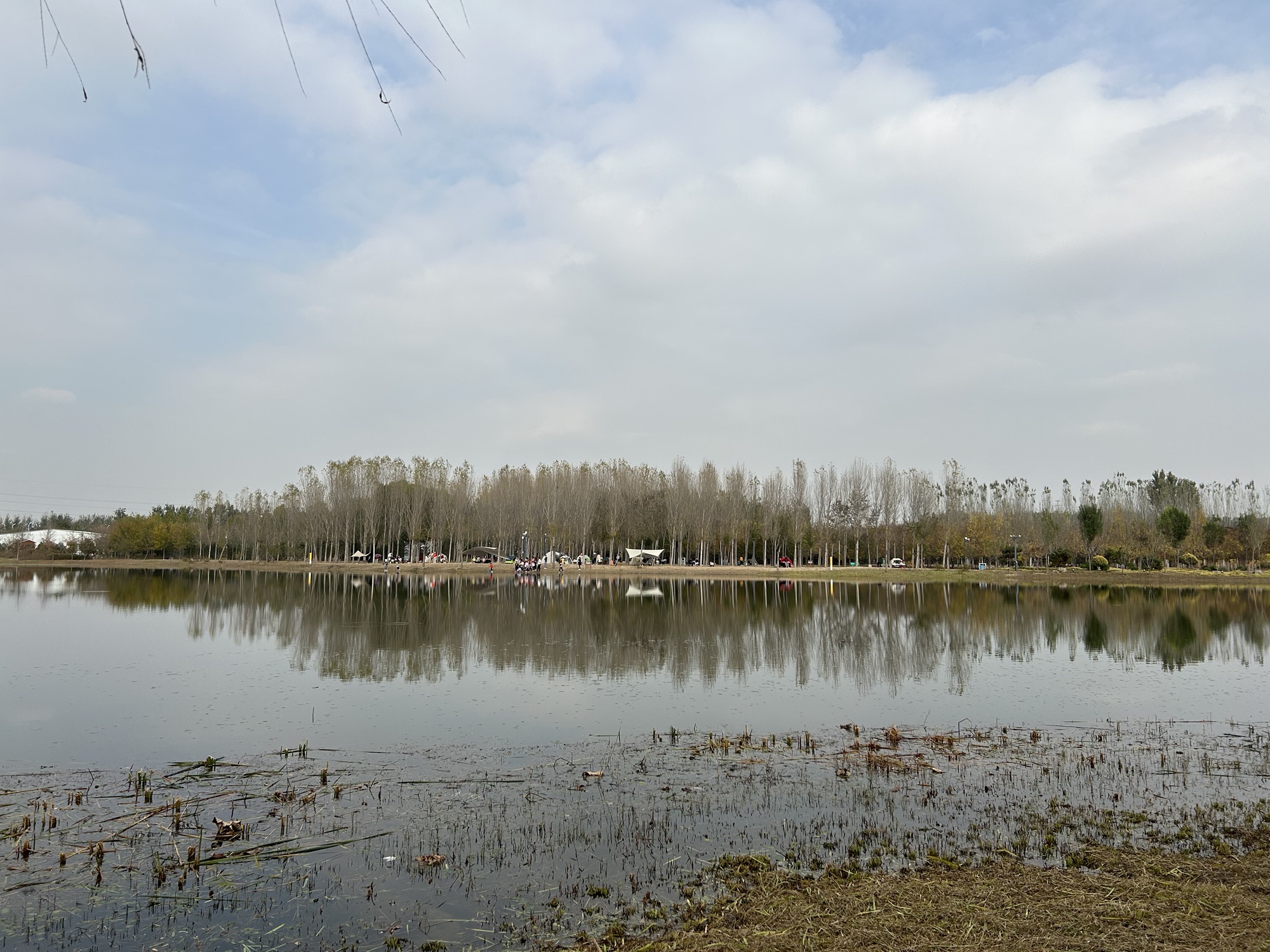 东郊森林公园旅行图片 3