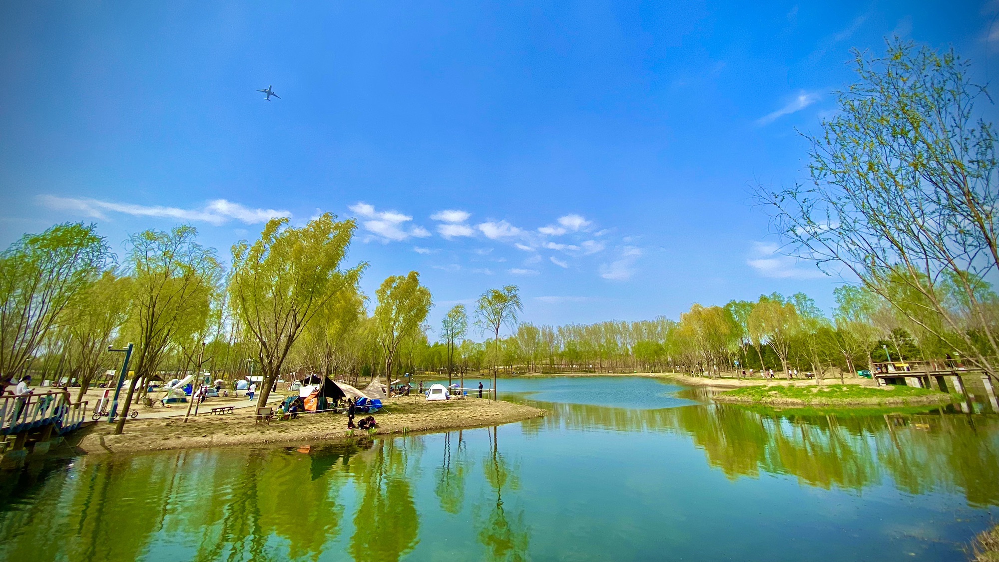 东郊森林公园旅行图片 1
