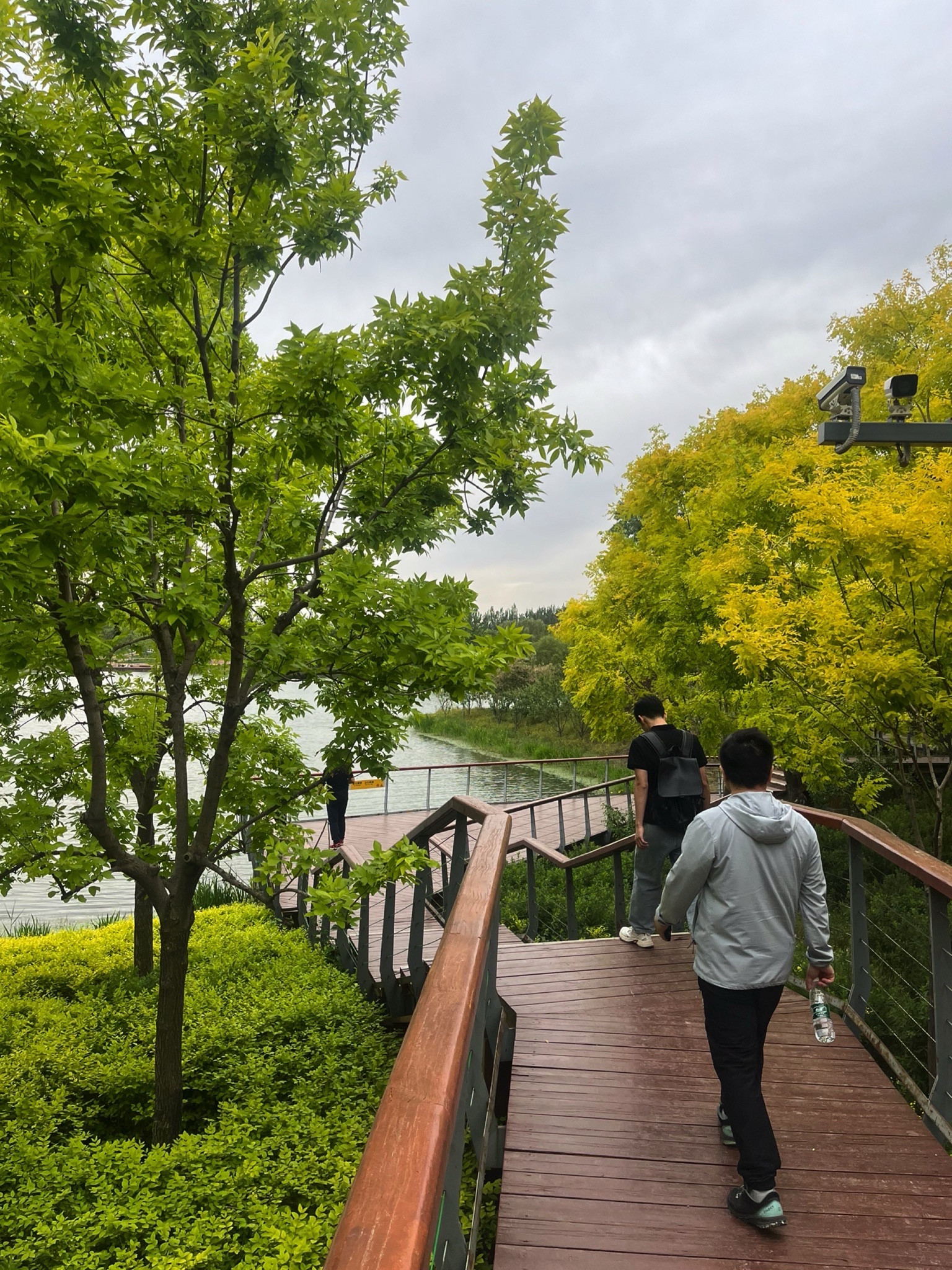 东郊森林公园旅行图片 1