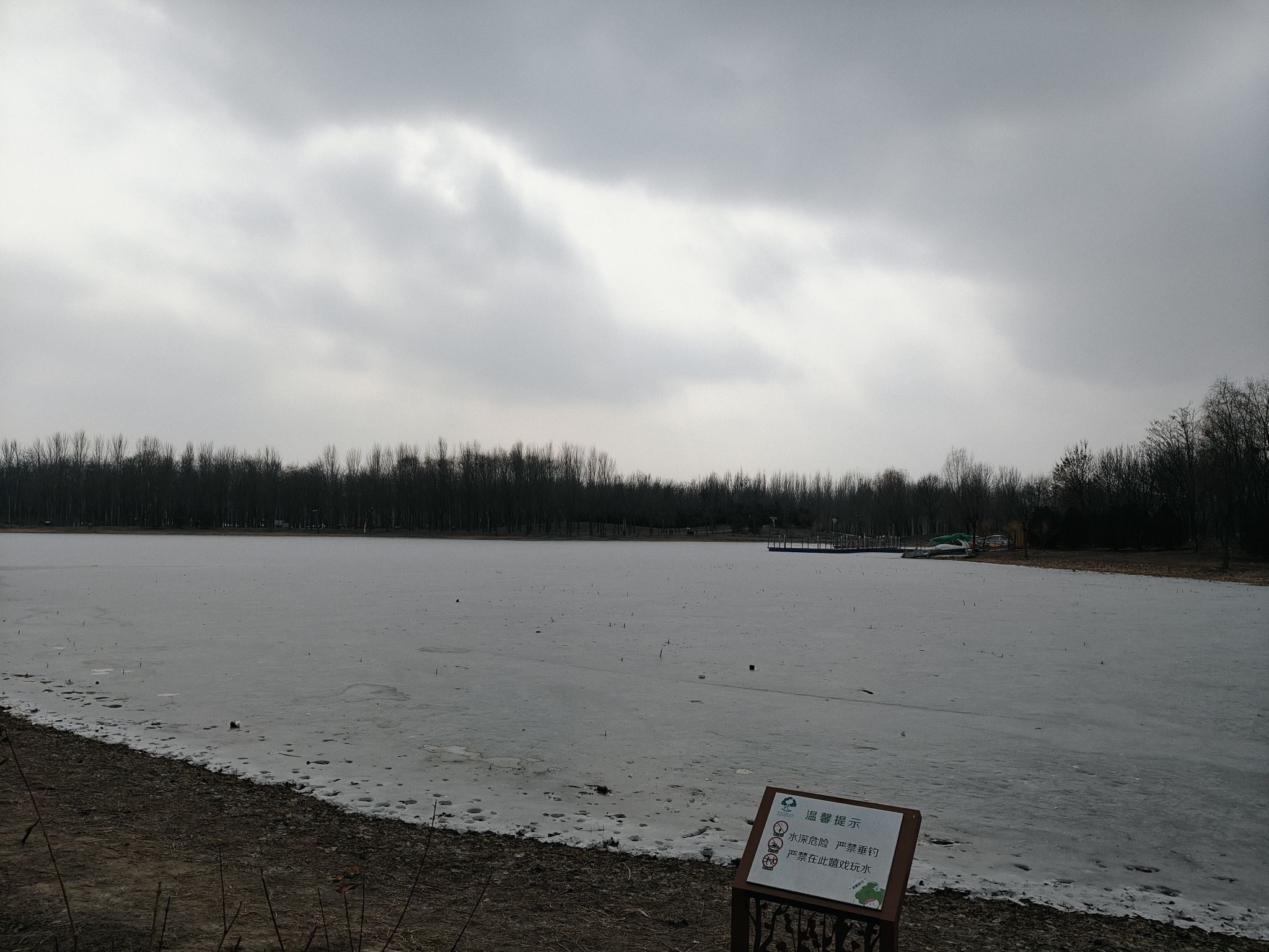 东郊森林公园旅行图片 2