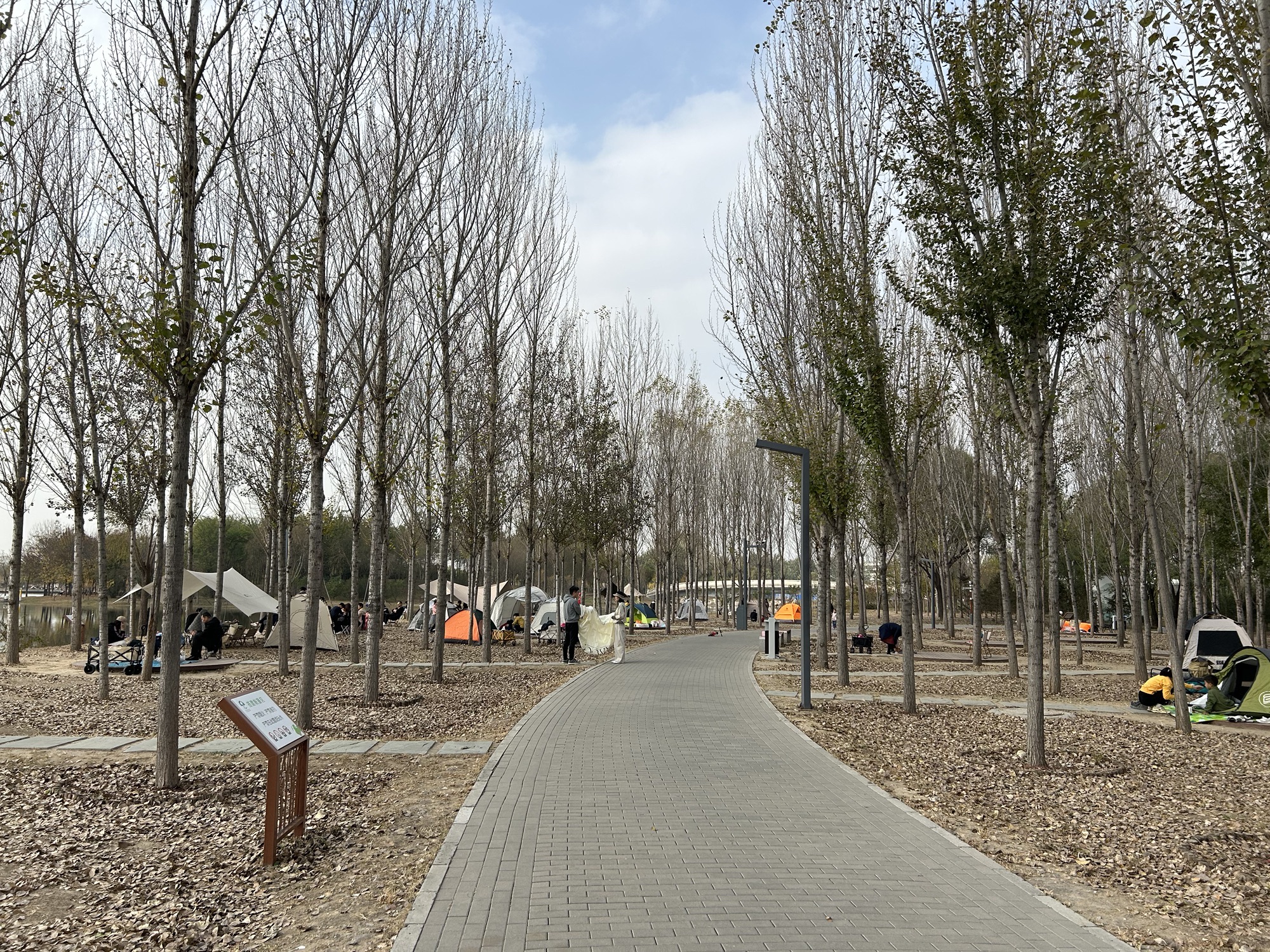 东郊森林公园旅行图片 2