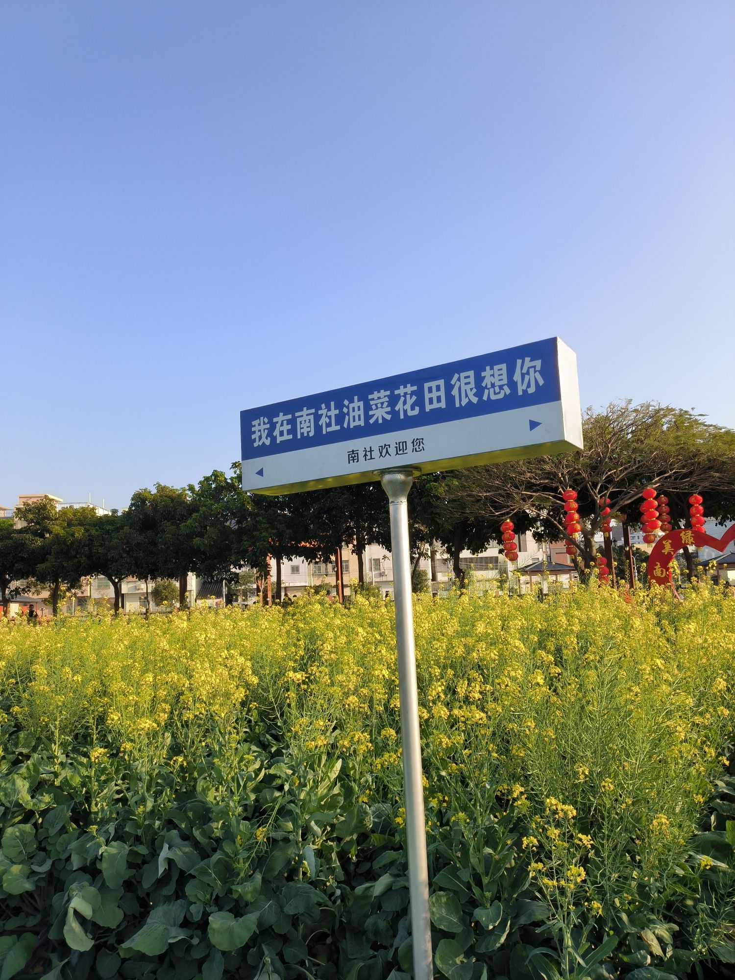 南社村大池文化公园旅行图片 1