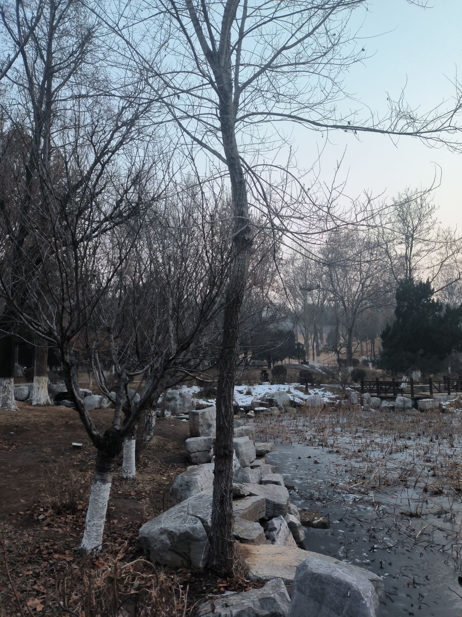 南阳桥公园旅行图片 2