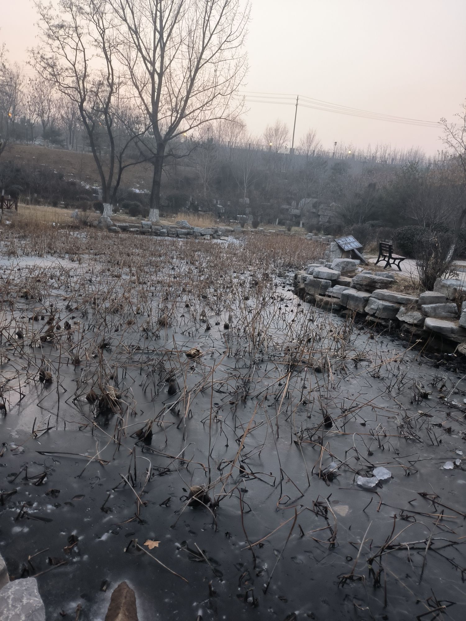 南阳桥公园旅行图片 1