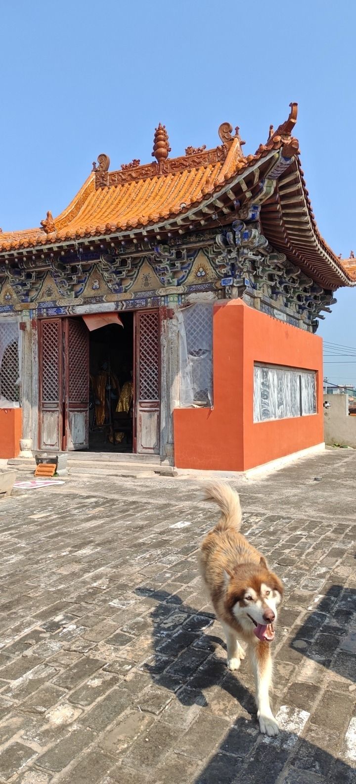 遵贵屯大券旅行图片 2