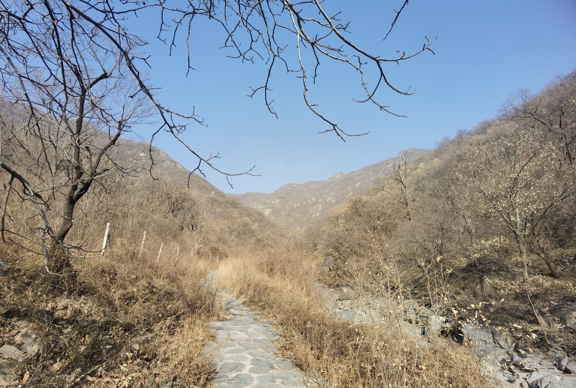 金祖山登山步道 - 周口店镇便民圈栖邻生活圈风景名胜服务点实景照片