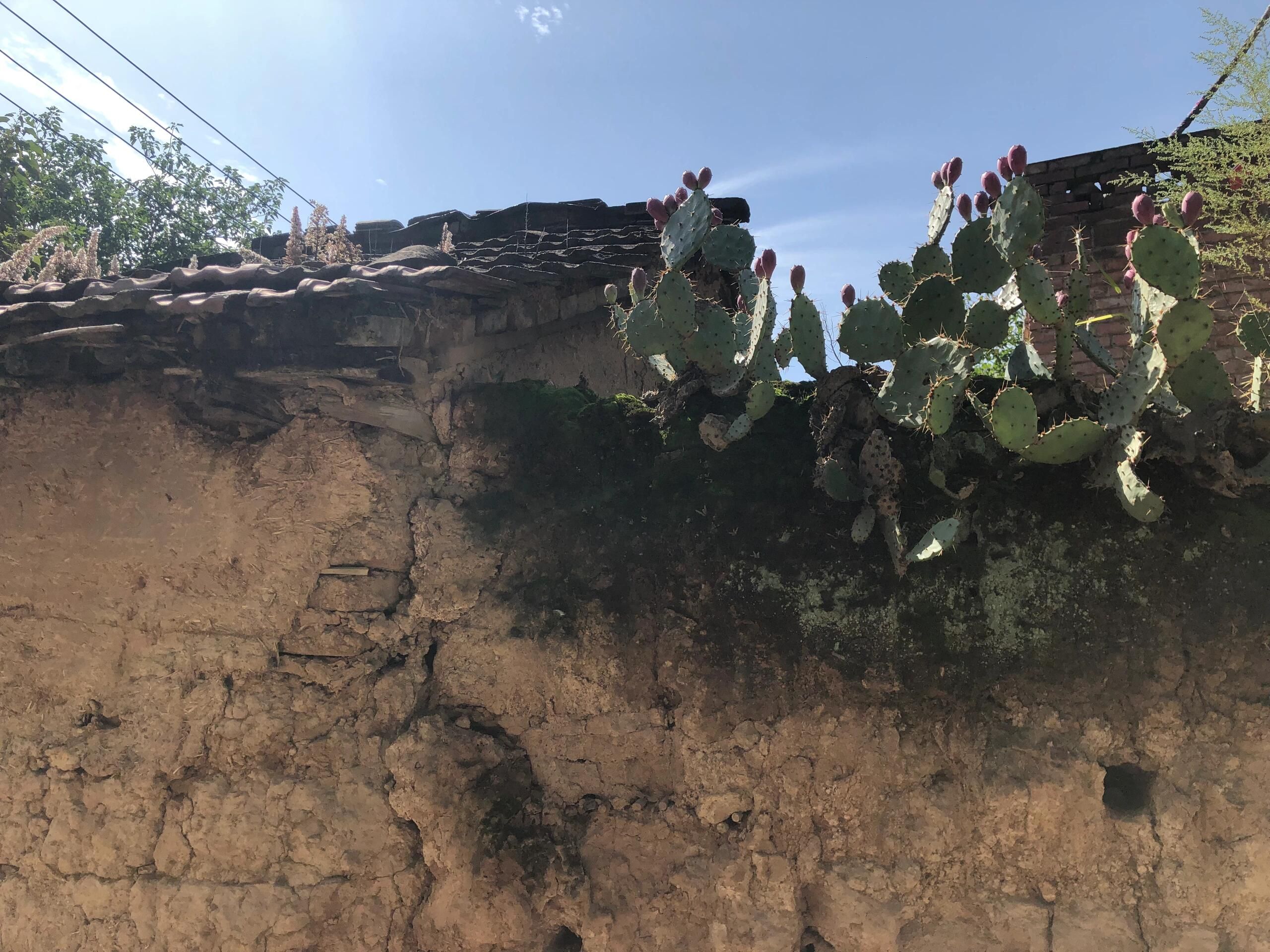 苏羊遗址旅行图片 2