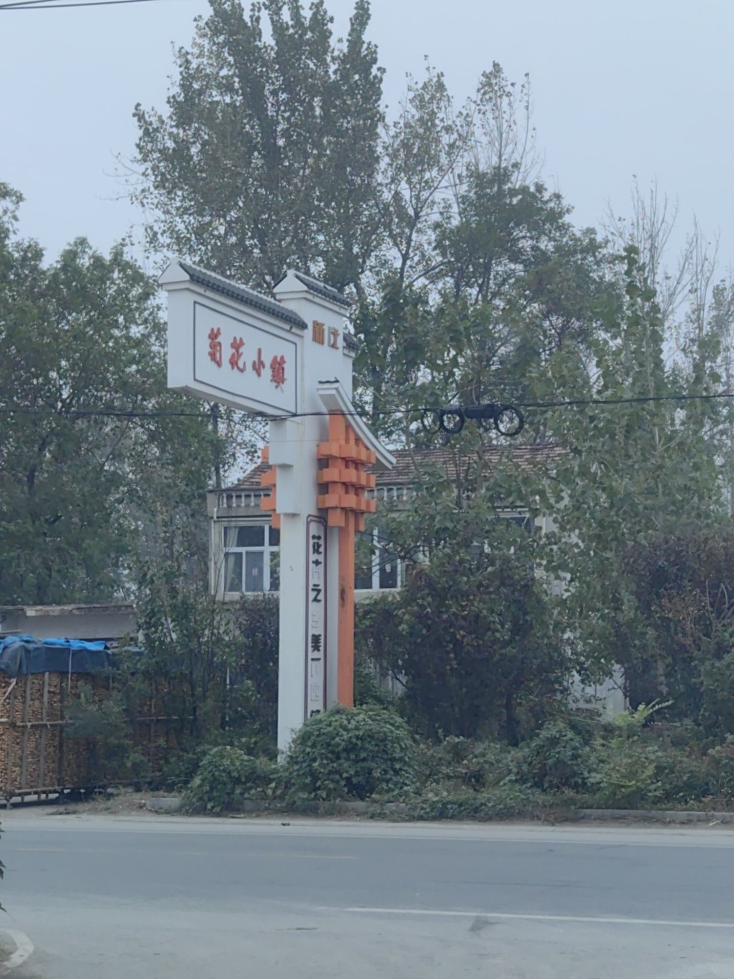 菊花小镇旅行图片 2