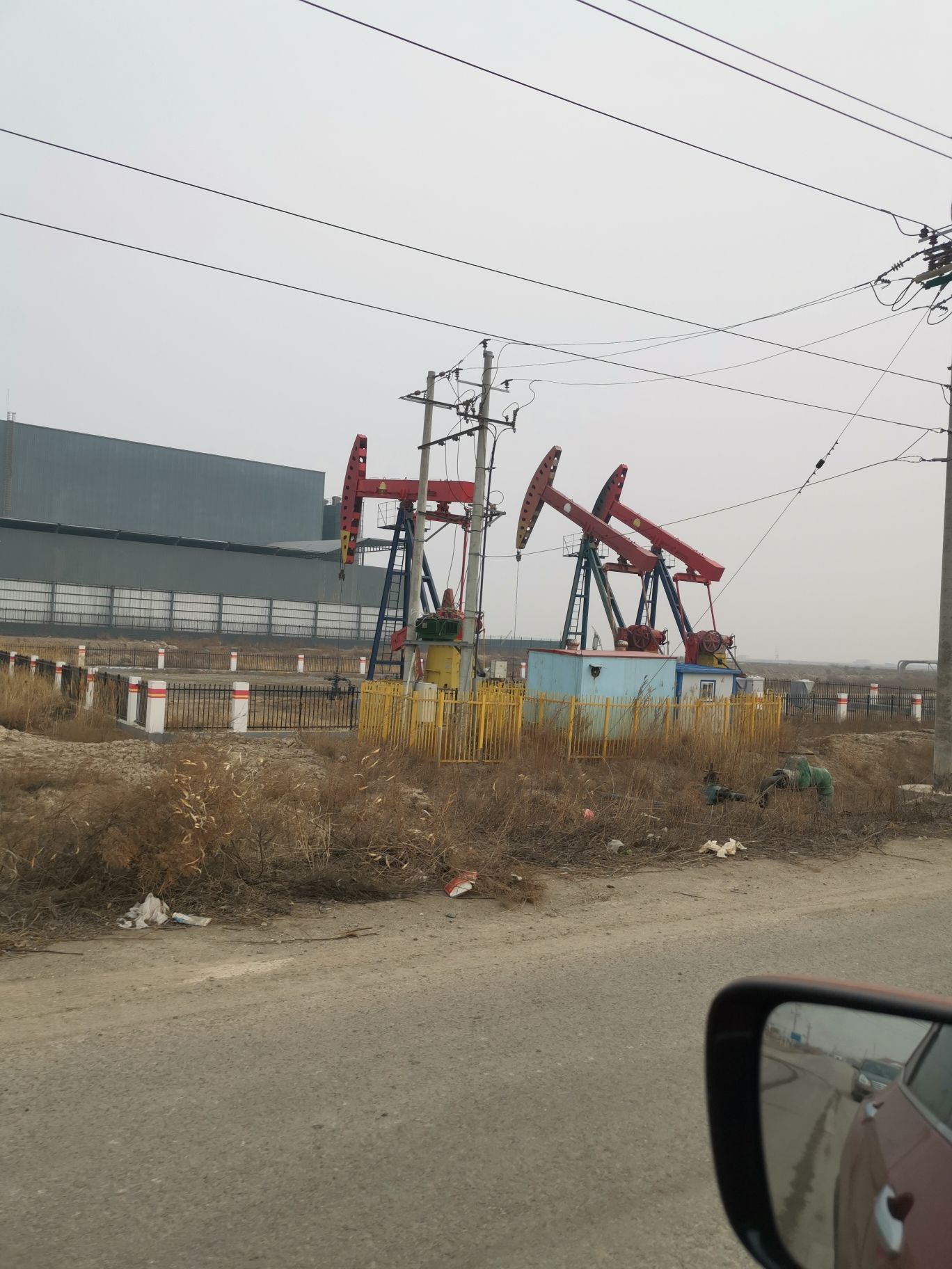 黄骅古贝壳堤旅行图片 3