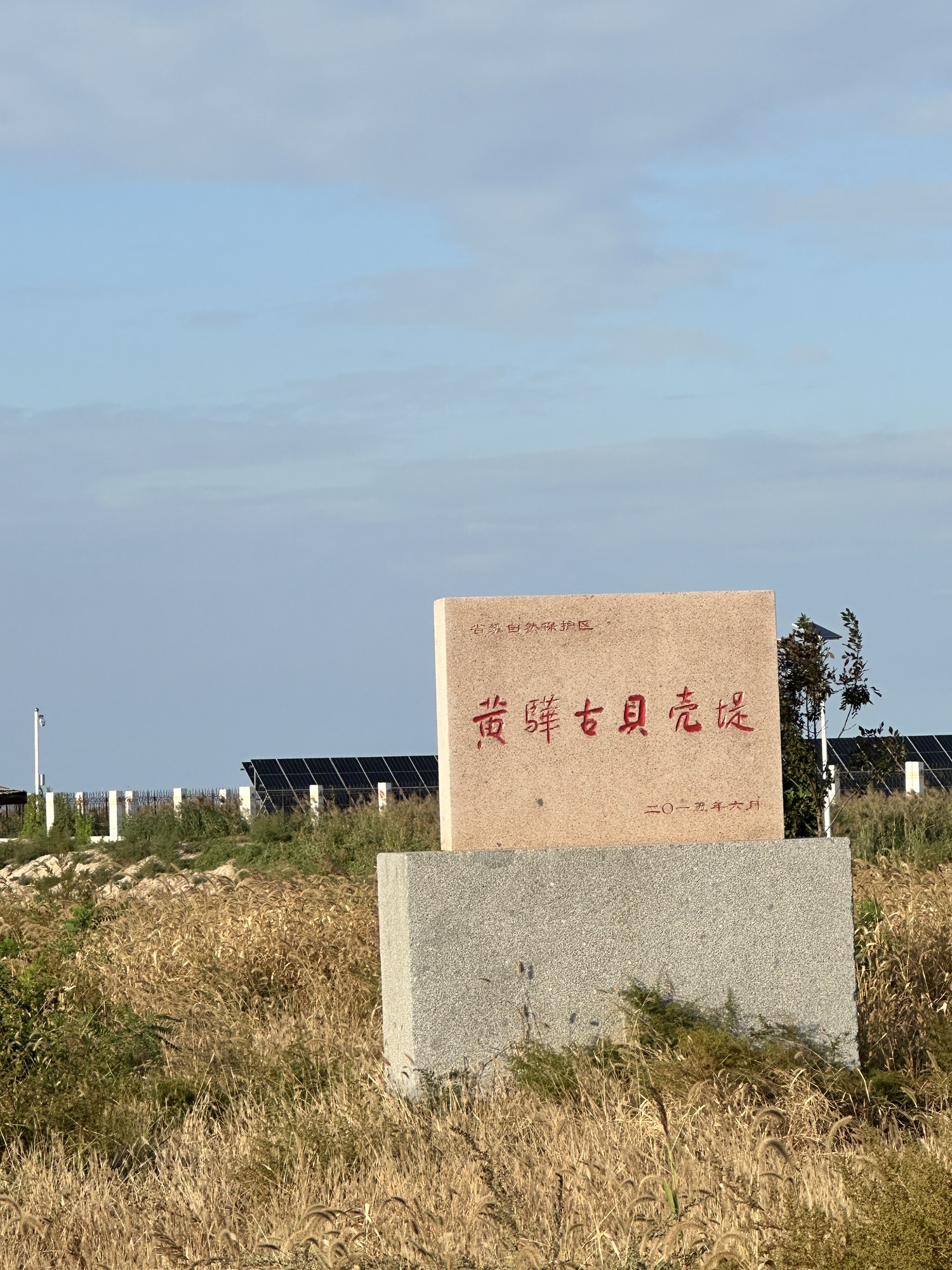 黄骅古贝壳堤旅行图片 1