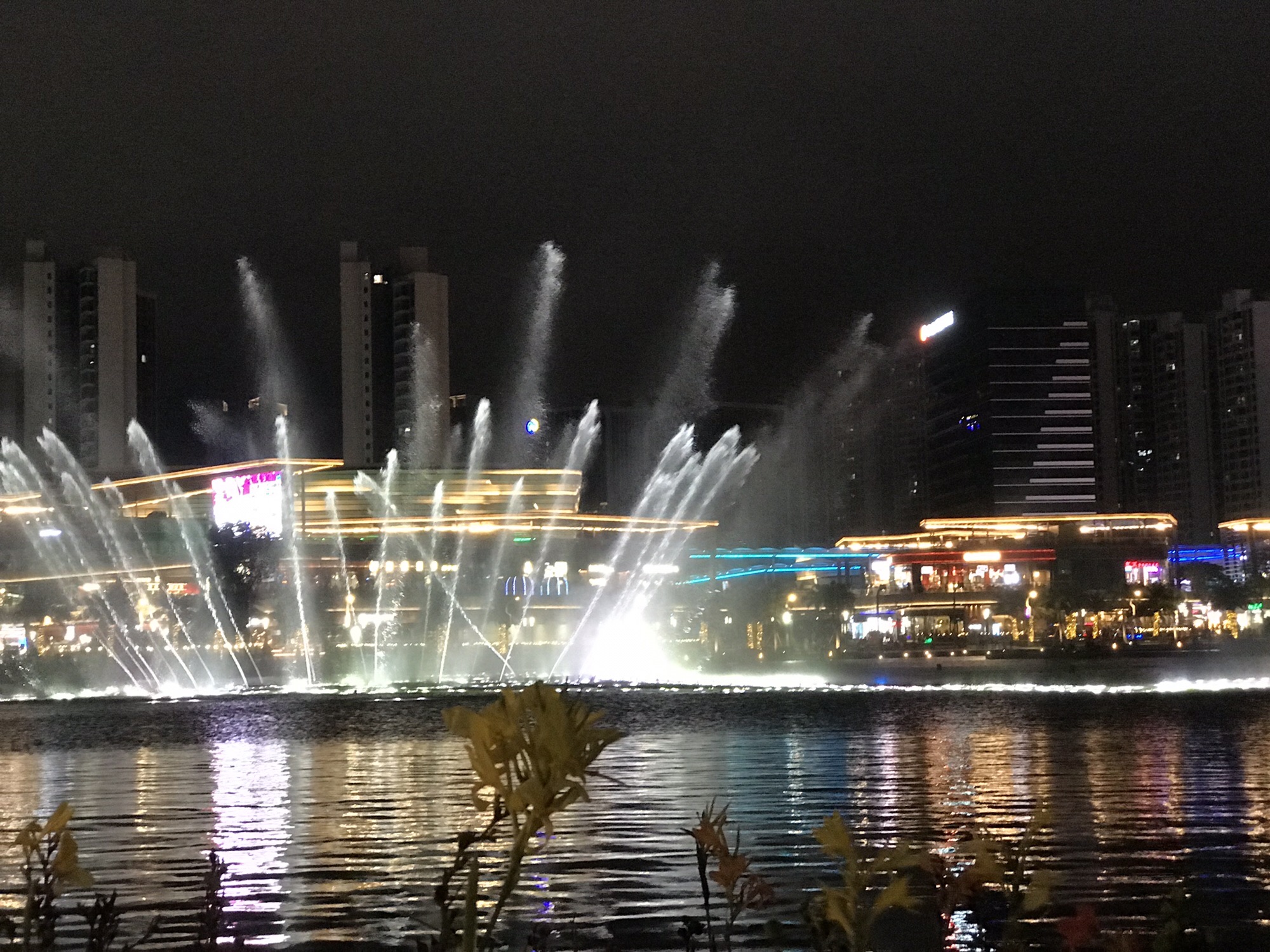 金湾区中心湖音乐激光喷泉旅行图片 3