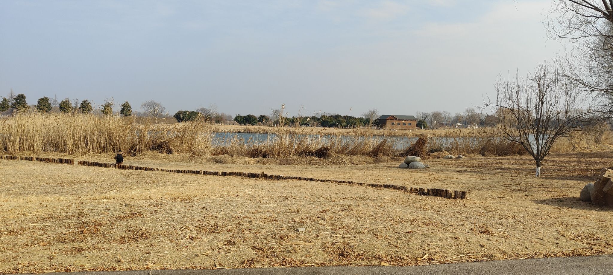淮安白马湖国家湿地公园旅行图片 2