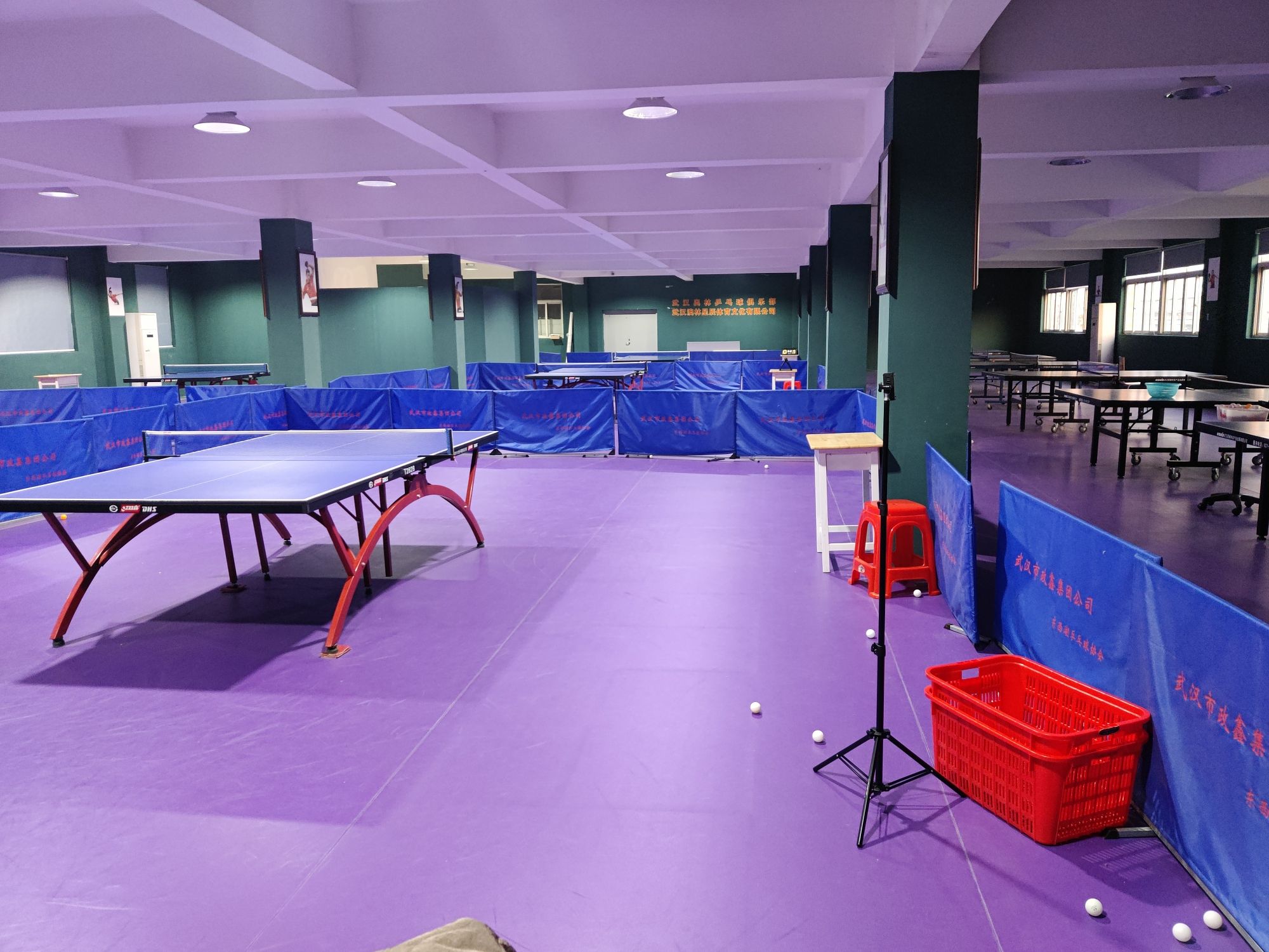 场地封面-武汉奥林乒乓球俱乐部(海口二路店)