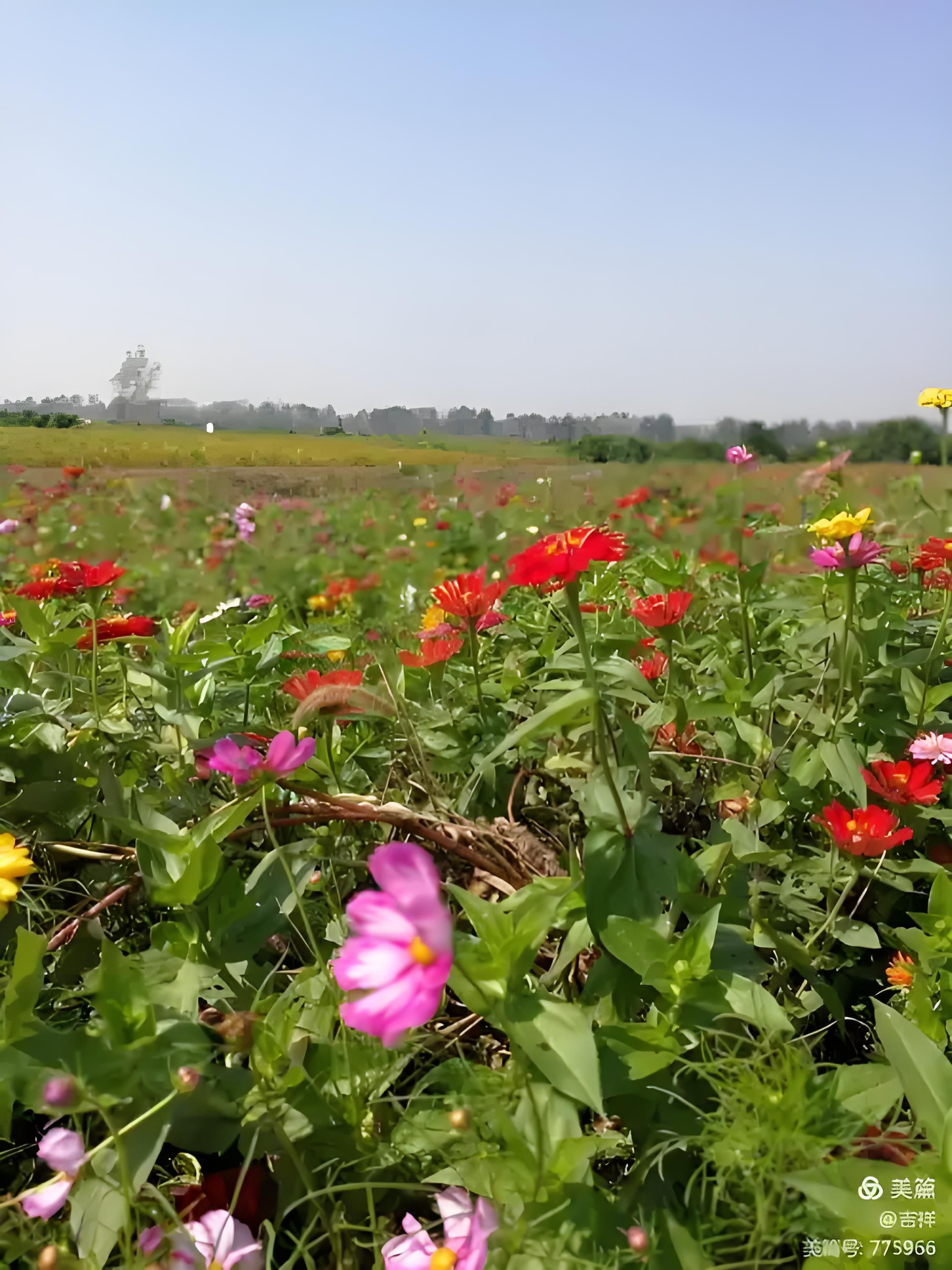 花溪湿地公园旅行图片 1
