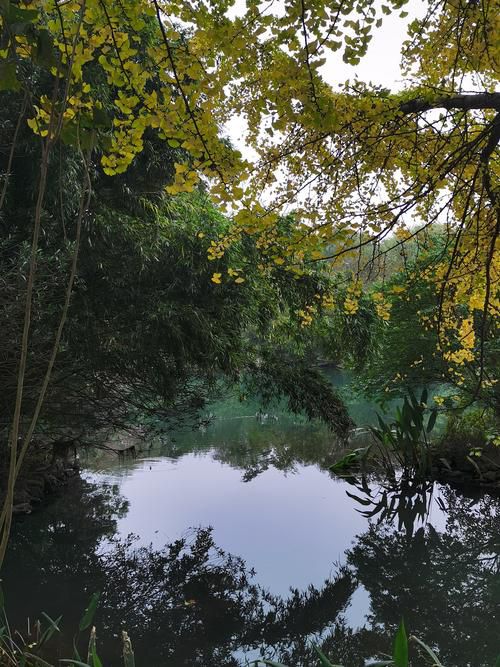 花溪湿地公园旅行图片 3