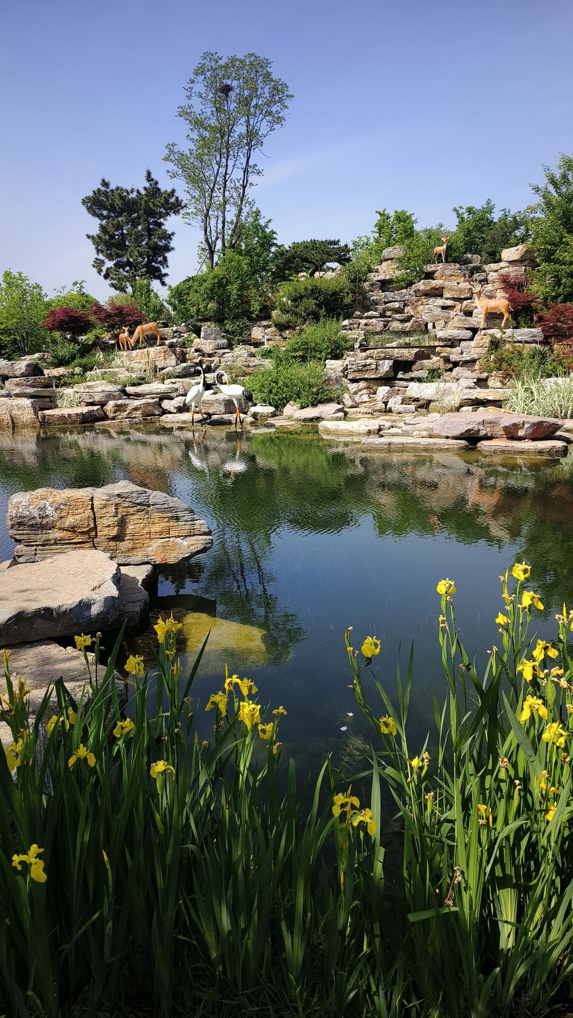 花溪湿地公园旅行图片 2