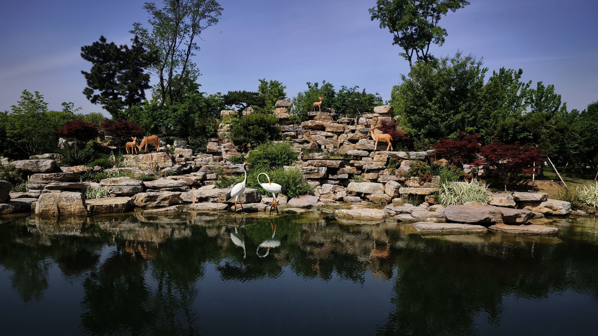 花溪湿地公园旅行图片 3