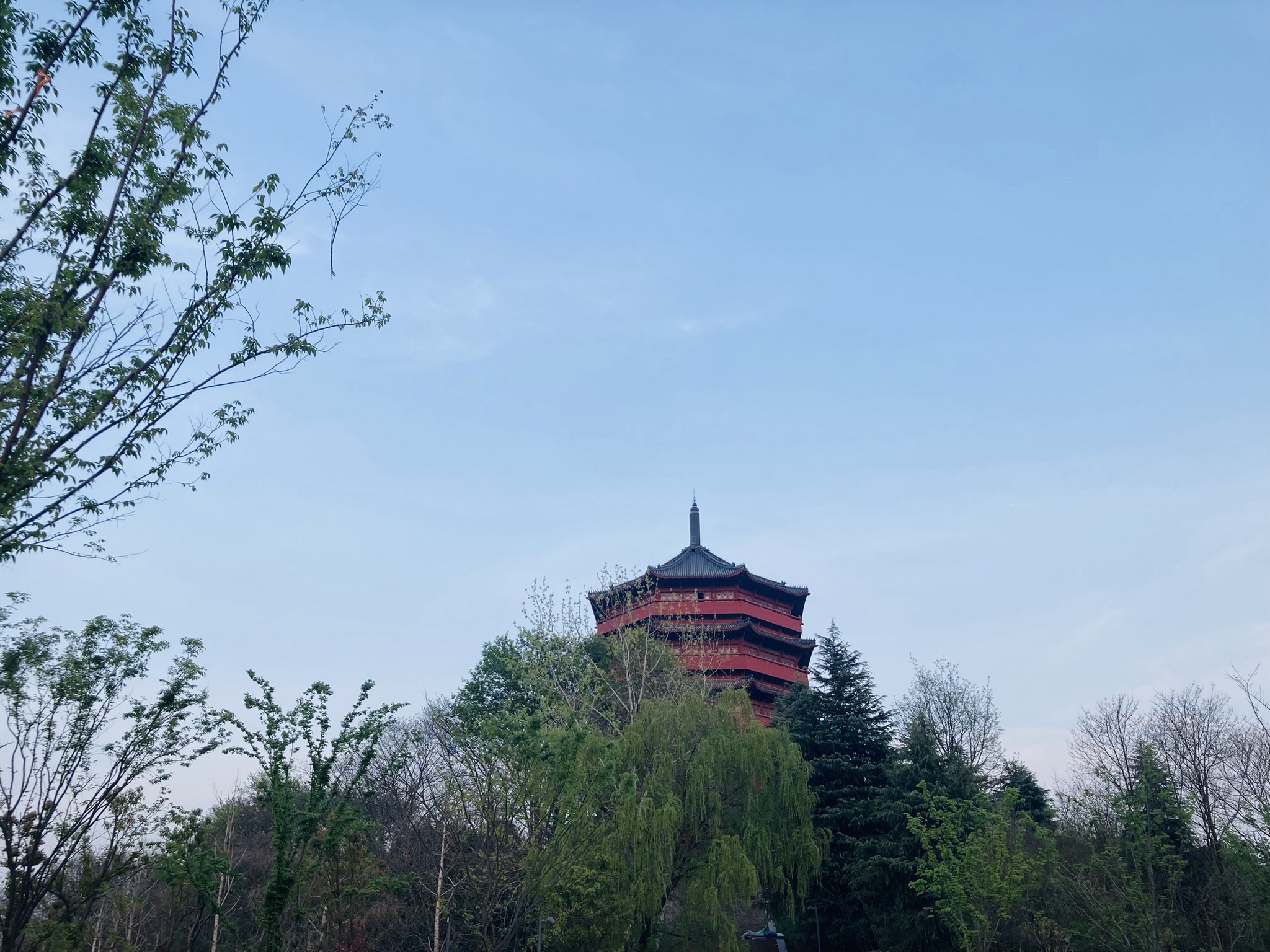 茗阳阁公园旅行图片 3