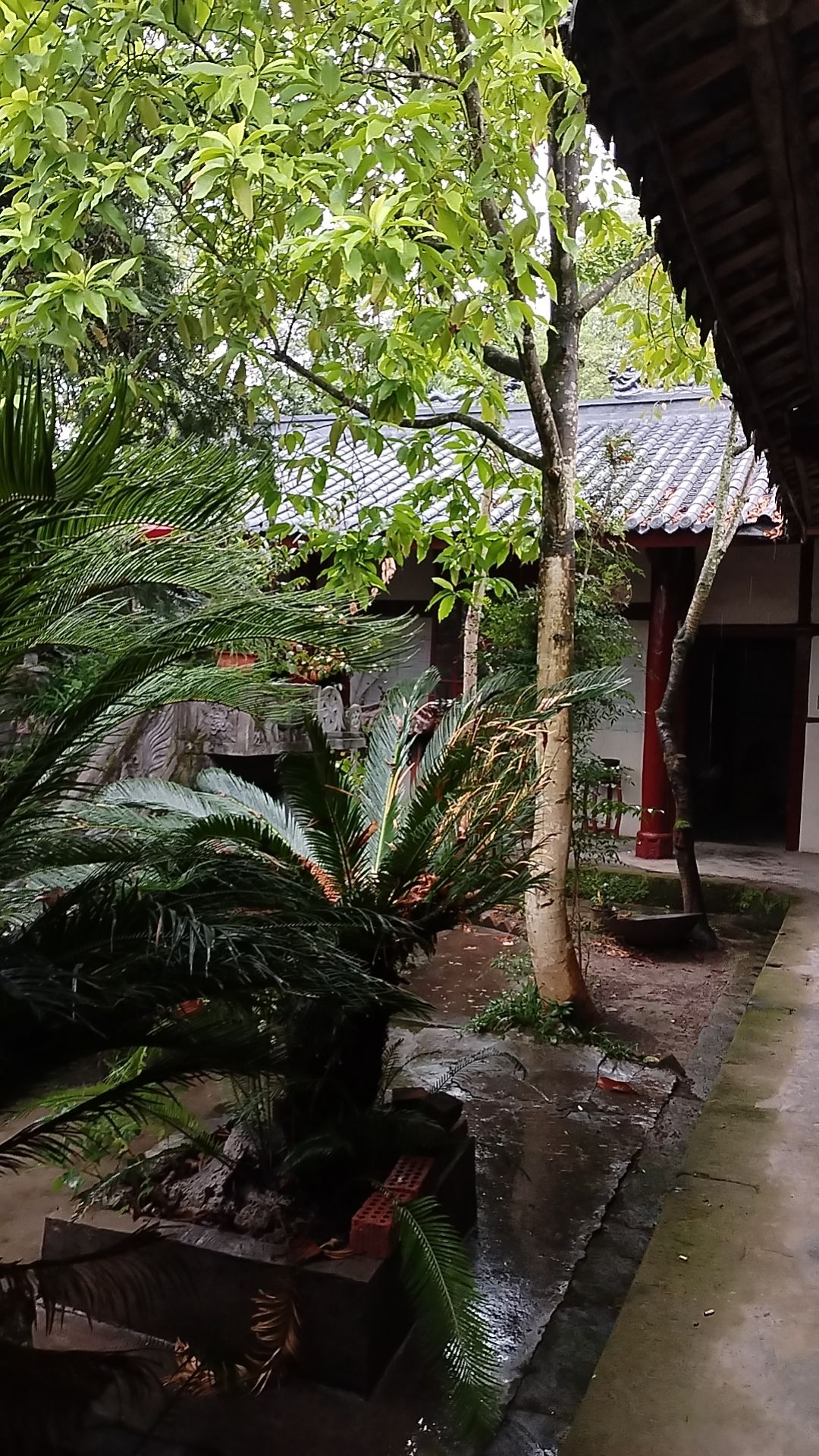人和寨卧龙道观